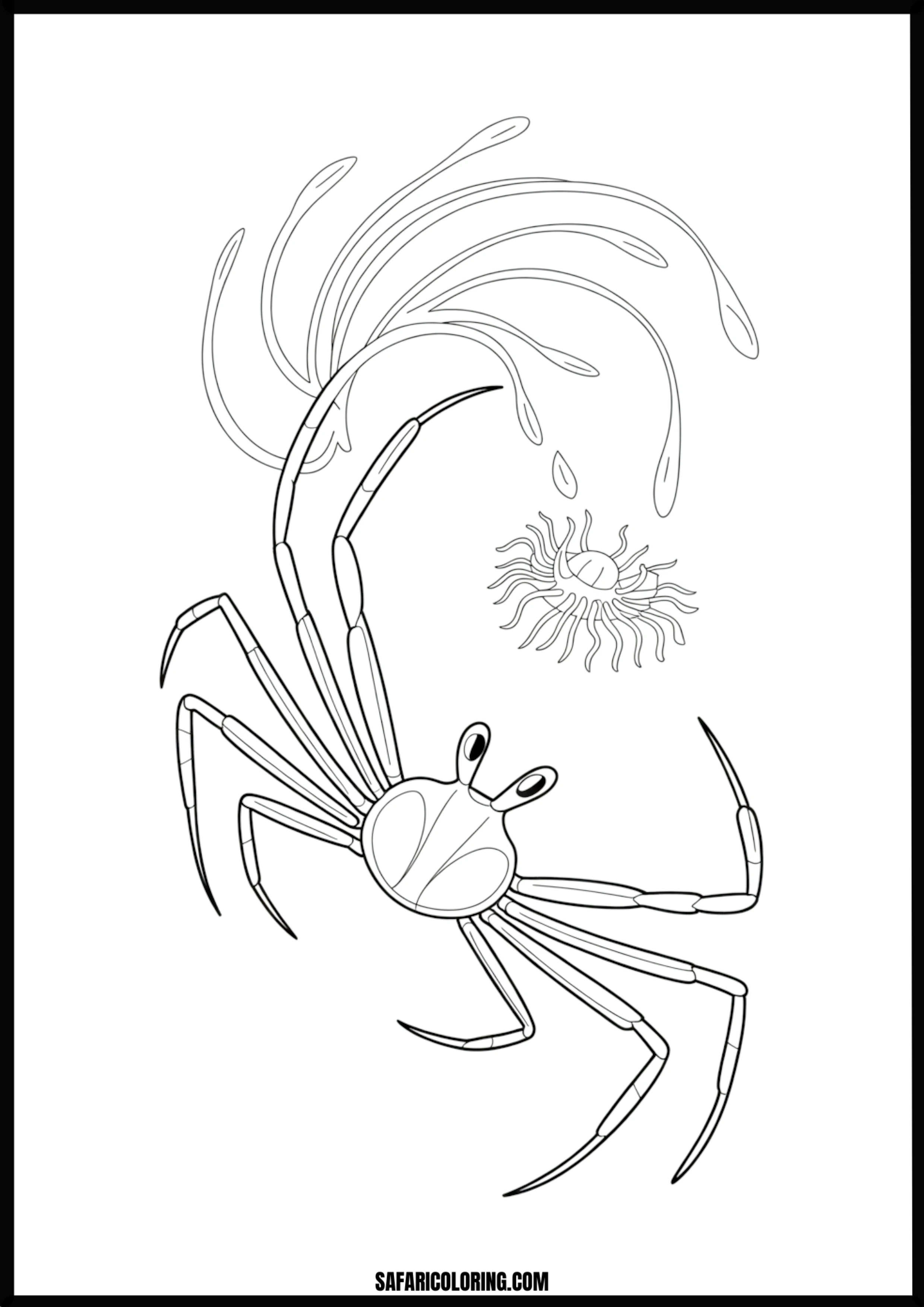 Rich Ocean Floor Scene A crab surrounded by various types of seaweed and a sea anemone.