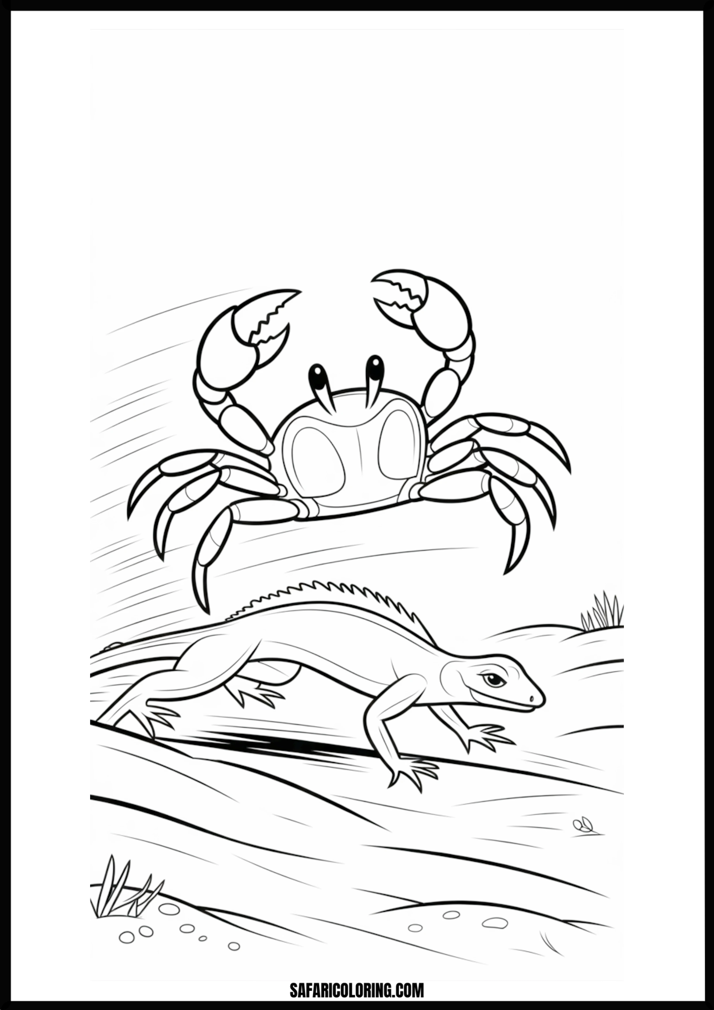 Beach Chase Crab & Lizard A crab actively chasing a lizard across a sandy beach.