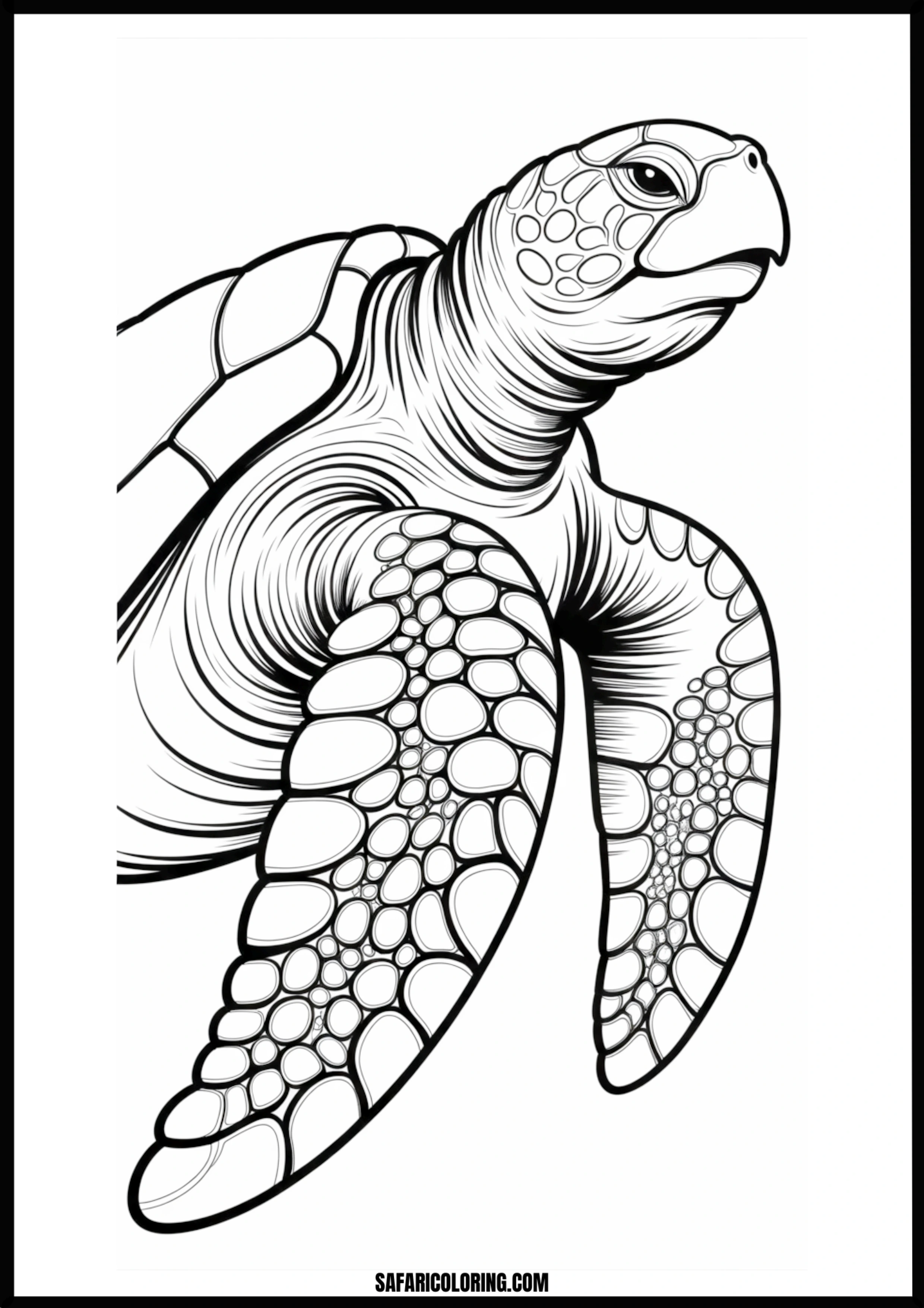 Graceful Swimming Turtle Detailed drawing of a sea turtle swimming