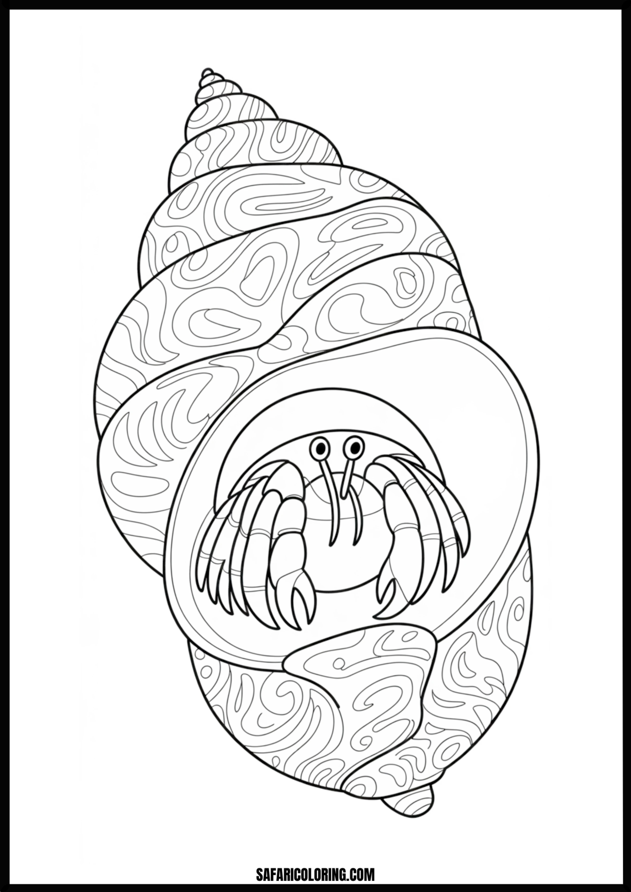 Ornate Hermit Crab Home A hermit crab with a beautifully decorative, ornate shell.