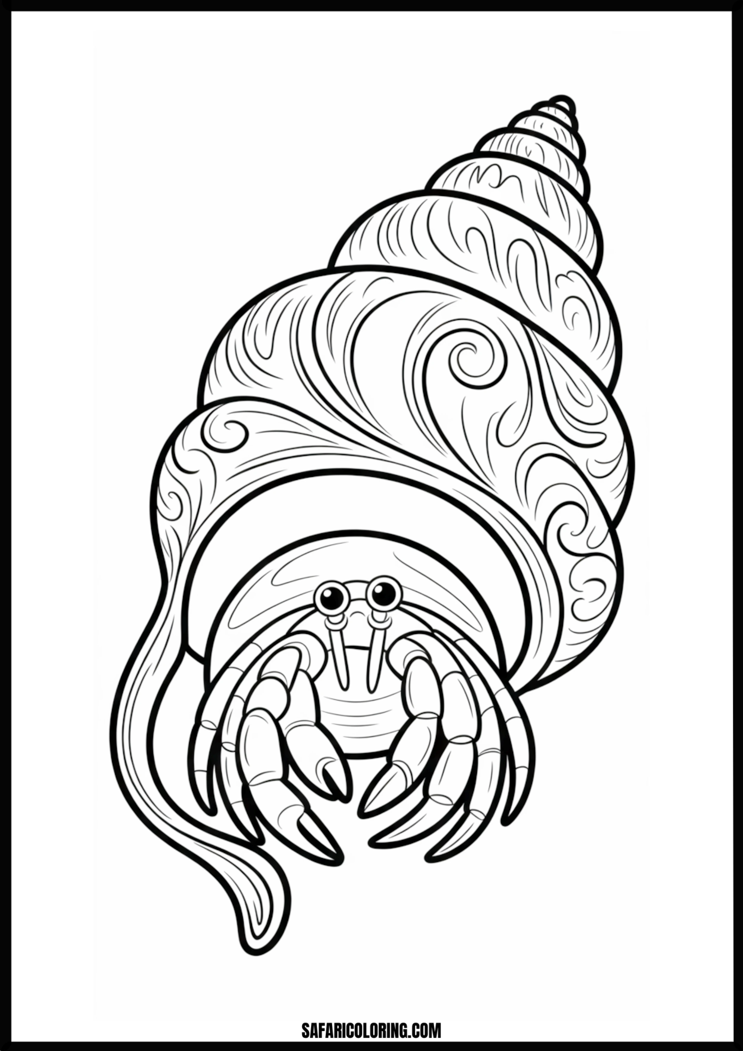 Cozy Hermit Crab Home A simple illustration of a hermit crab peeking out of its shell.