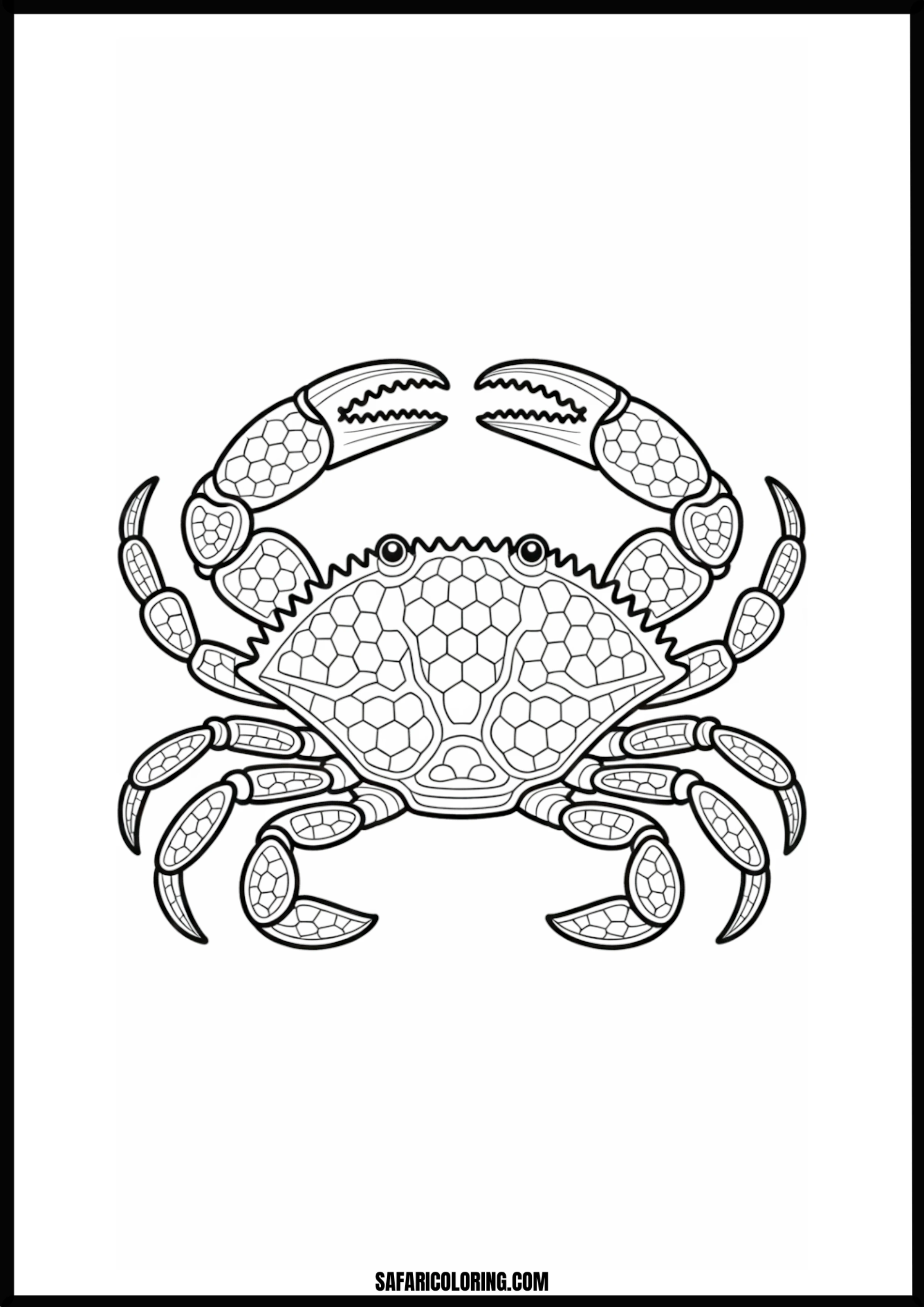 Geometric Honeycomb Crab A crab illustration with its body covered in a honeycomb pattern.