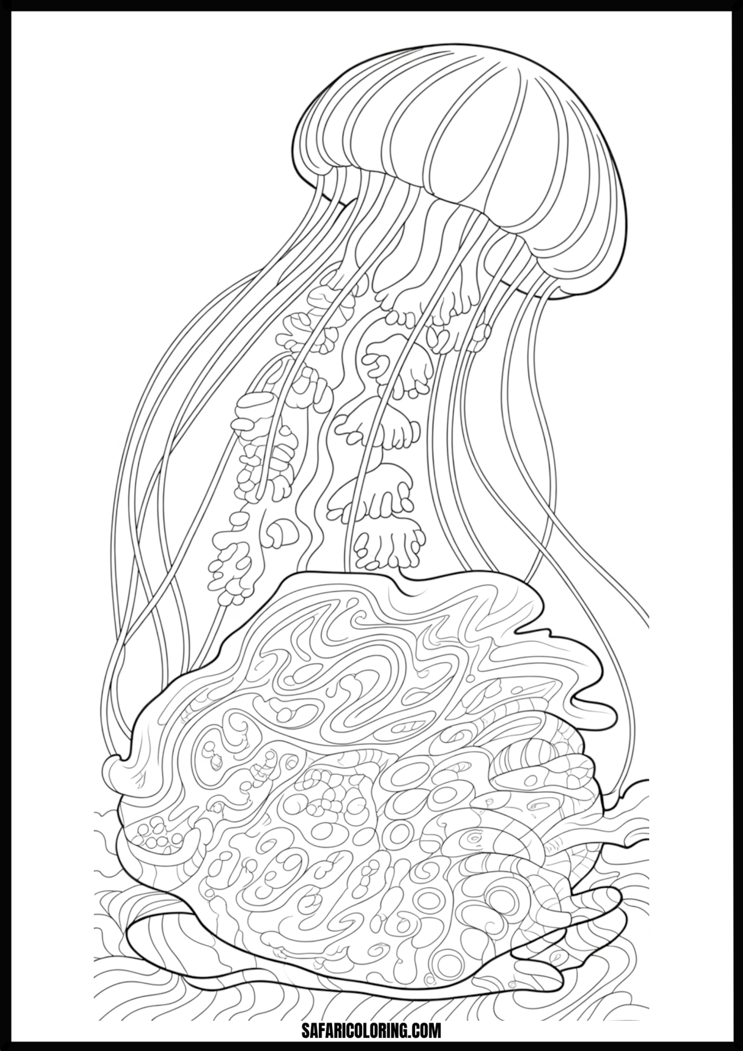 Jellyfish and Detailed Patterns Coloring Page Jellyfish with highly detailed and intricate patterns.