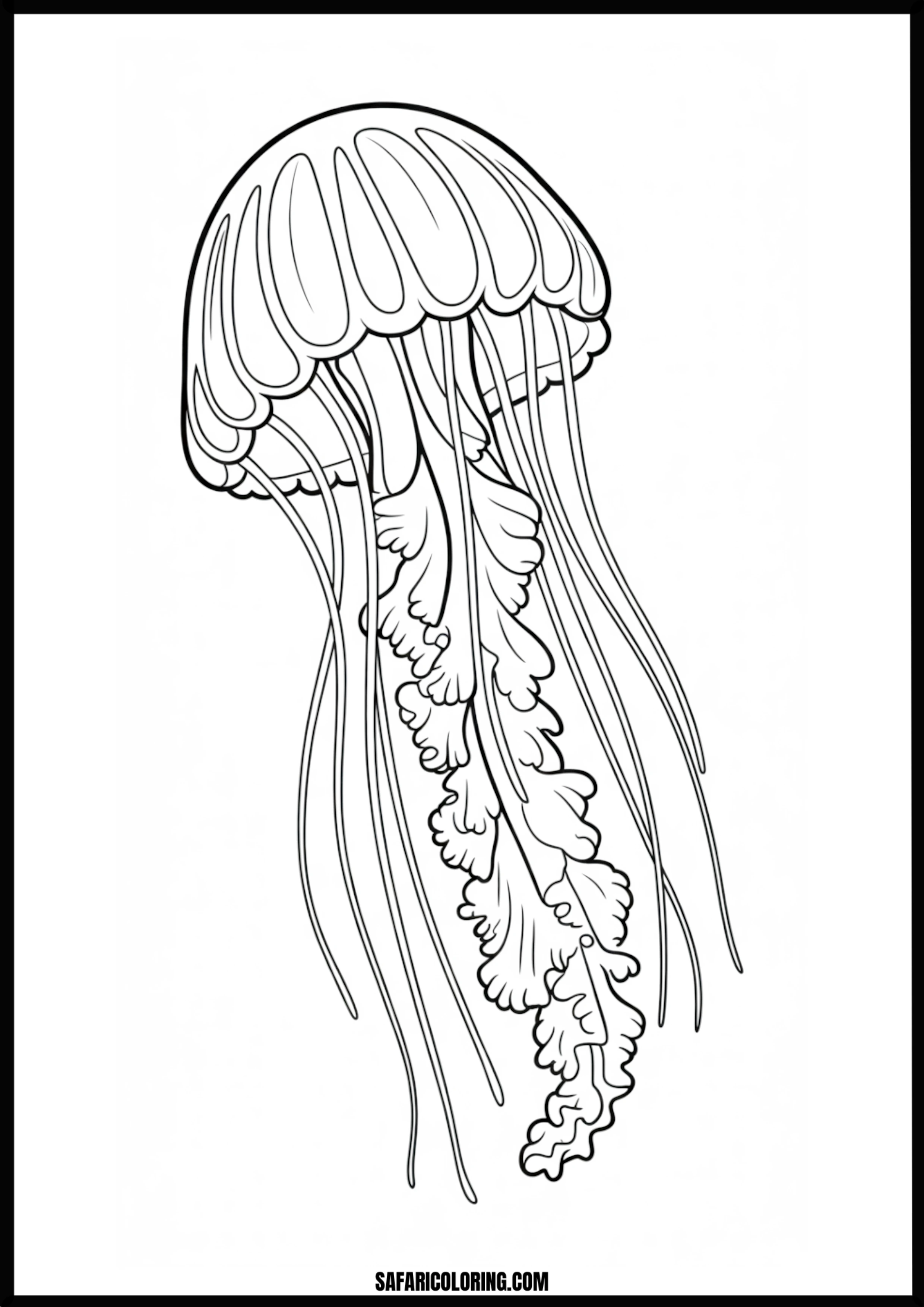 Simple Jellyfish Coloring Page Simple outline of a jellyfish for coloring.