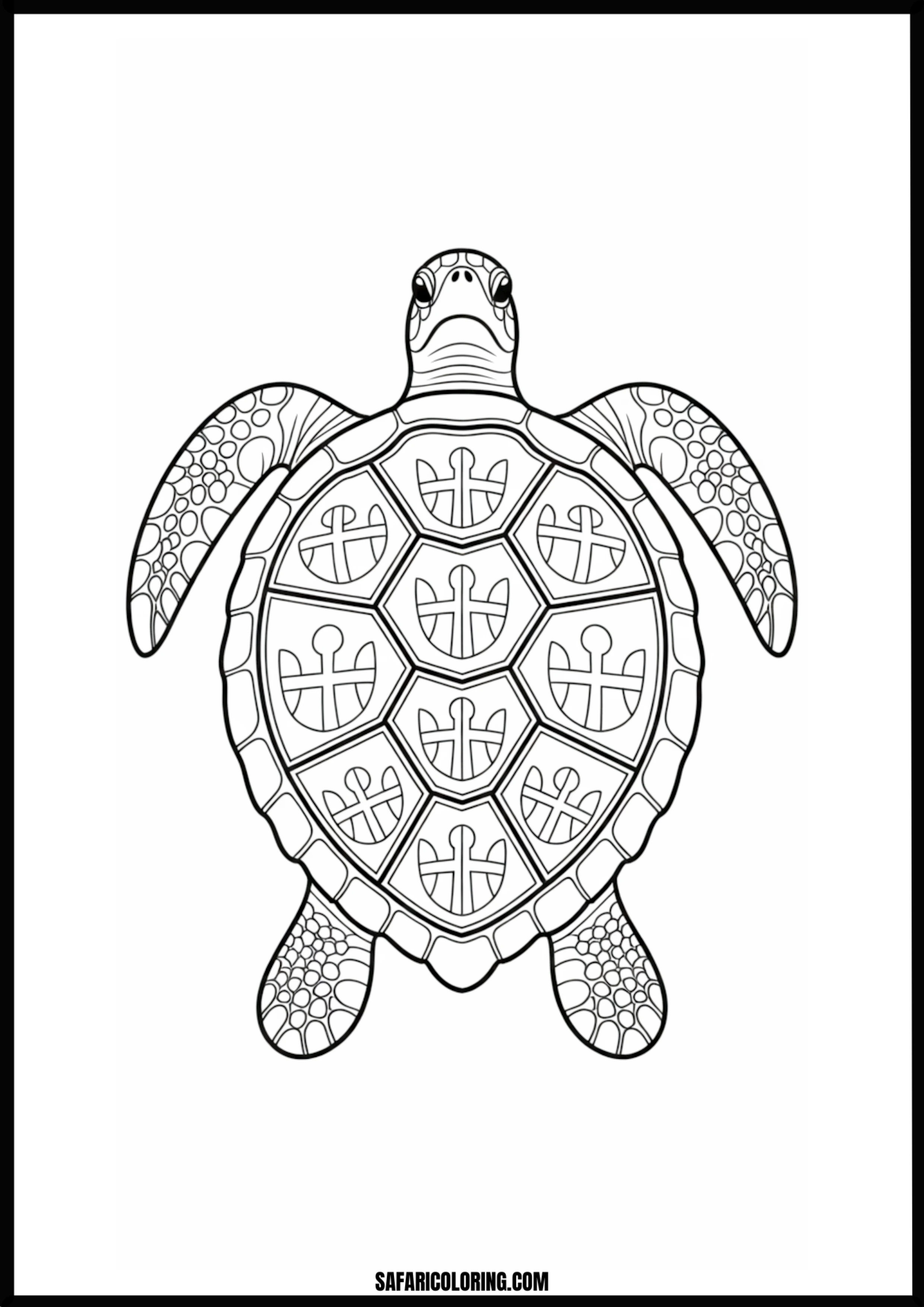Elaborate Sea Turtle Art Ornate sea turtle outline with decorative patterns