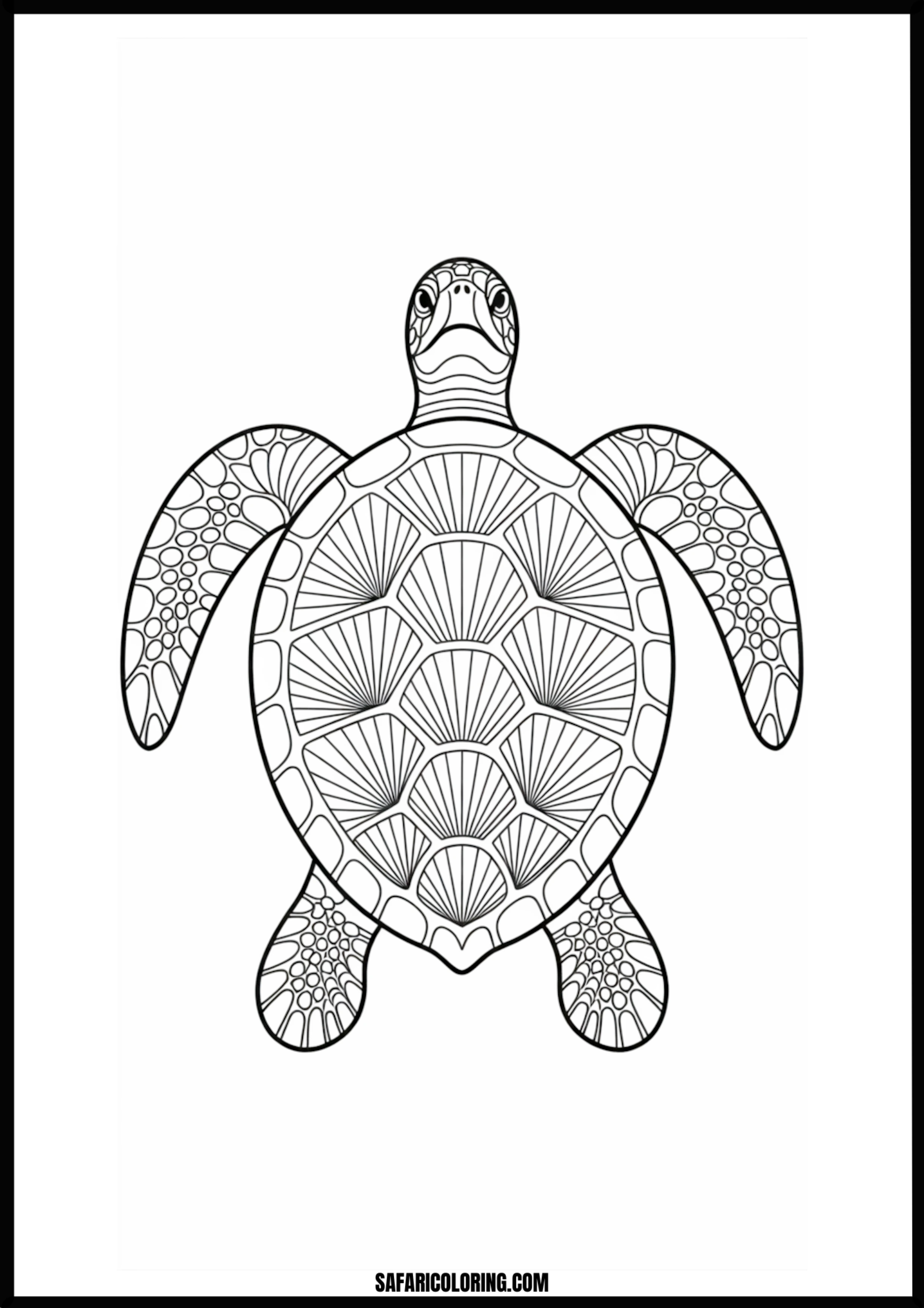 Stylish Patterned Turtle Sea turtle with decorative patterns on its shell