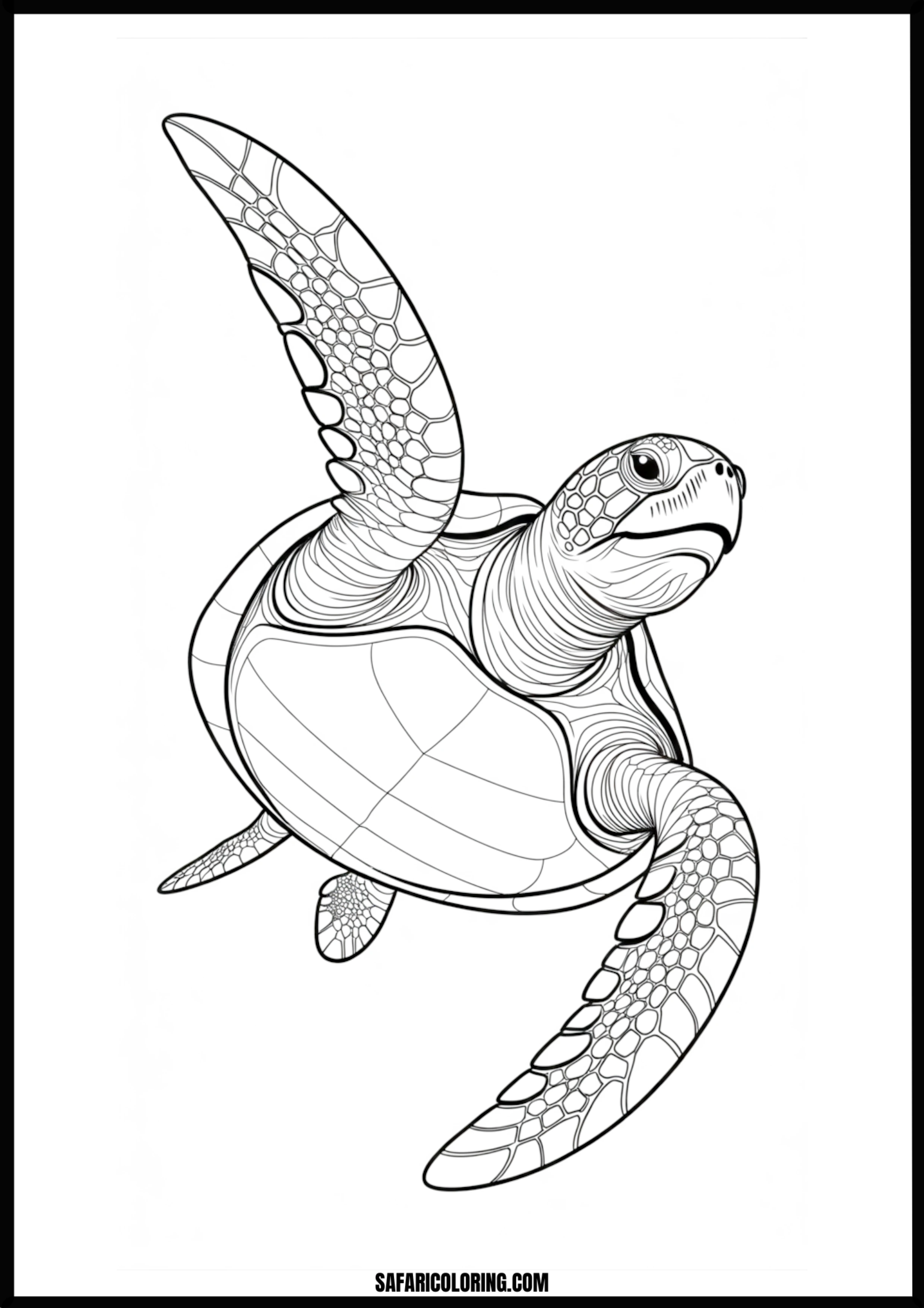 Printable Sea Turtle Sea Turtle coloring page