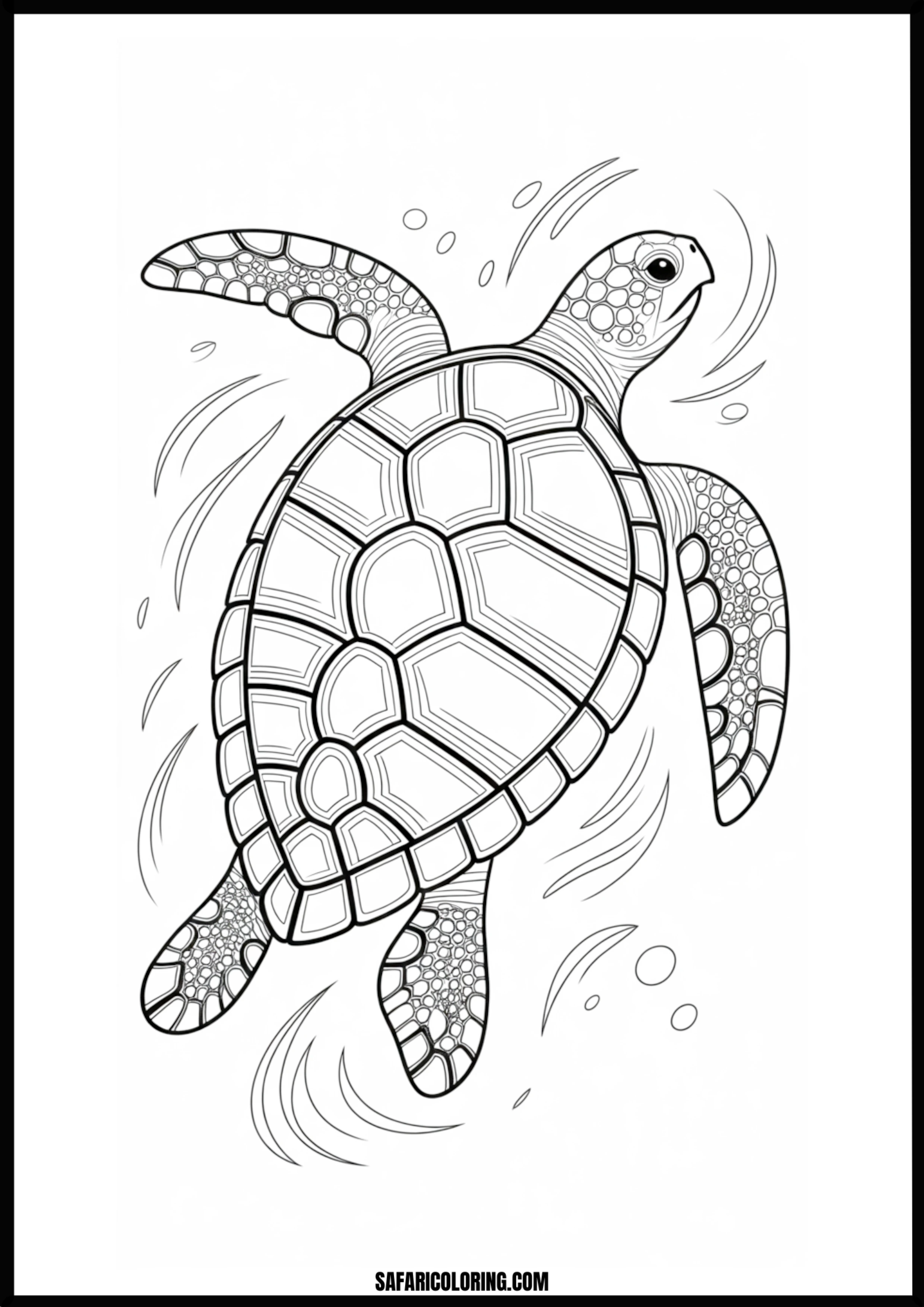 Graceful Swimming Turtle Sea turtle swimming gracefully in the ocean