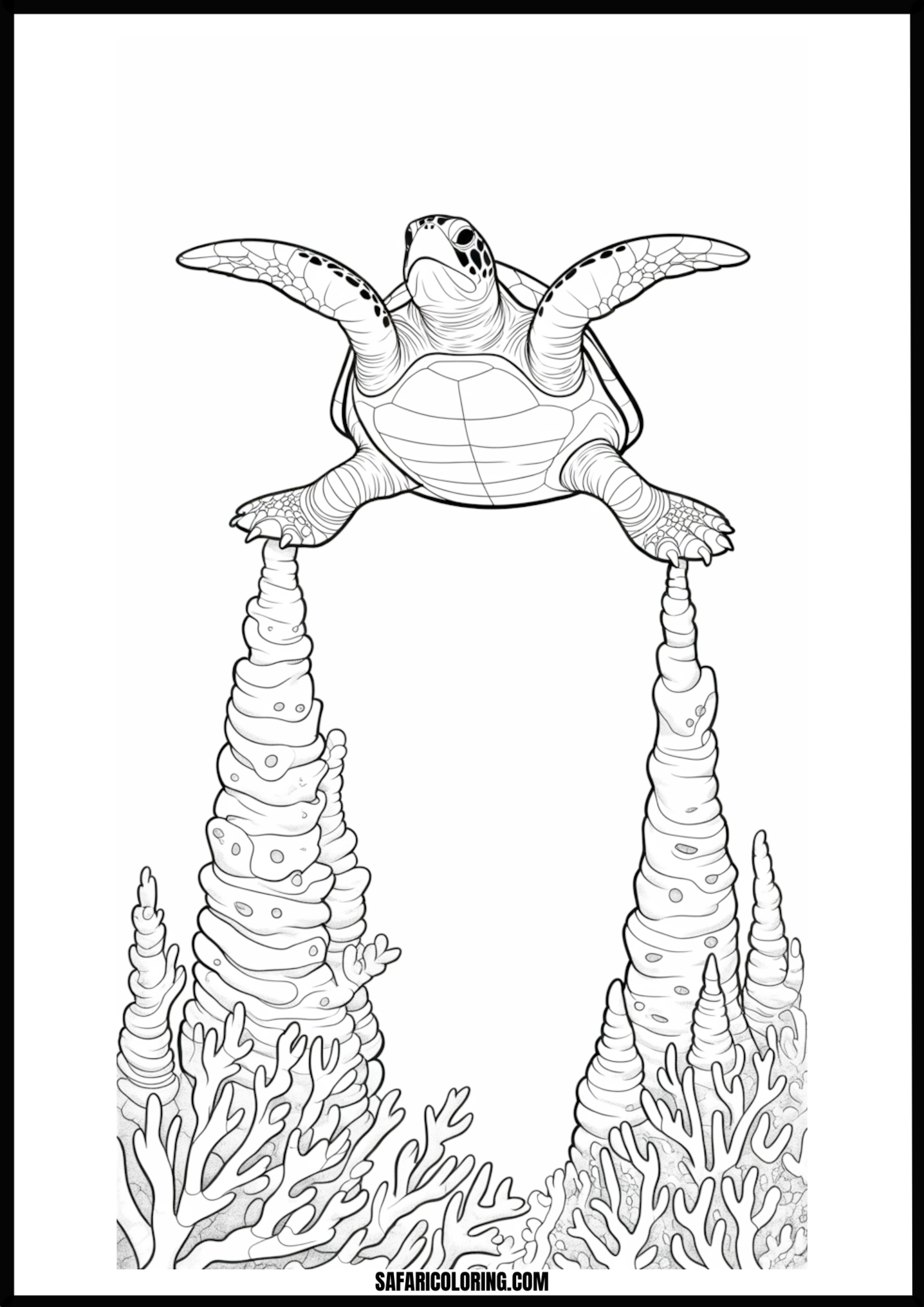 Coral Reef Sea Turtle Sea turtle swimming above a colorful coral reef