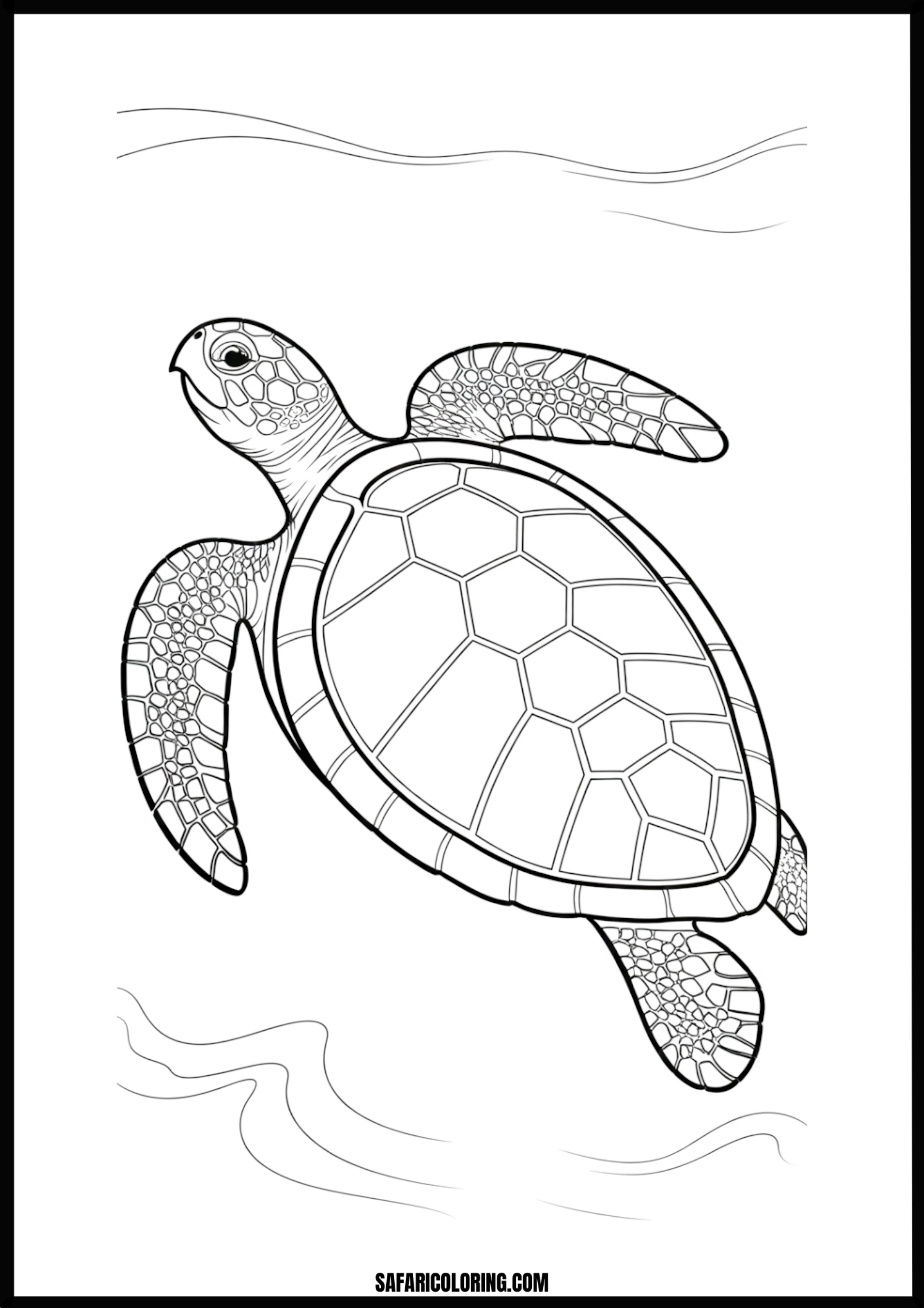 Graceful Swimming Turtle Sea turtle swimming gracefully in the ocean