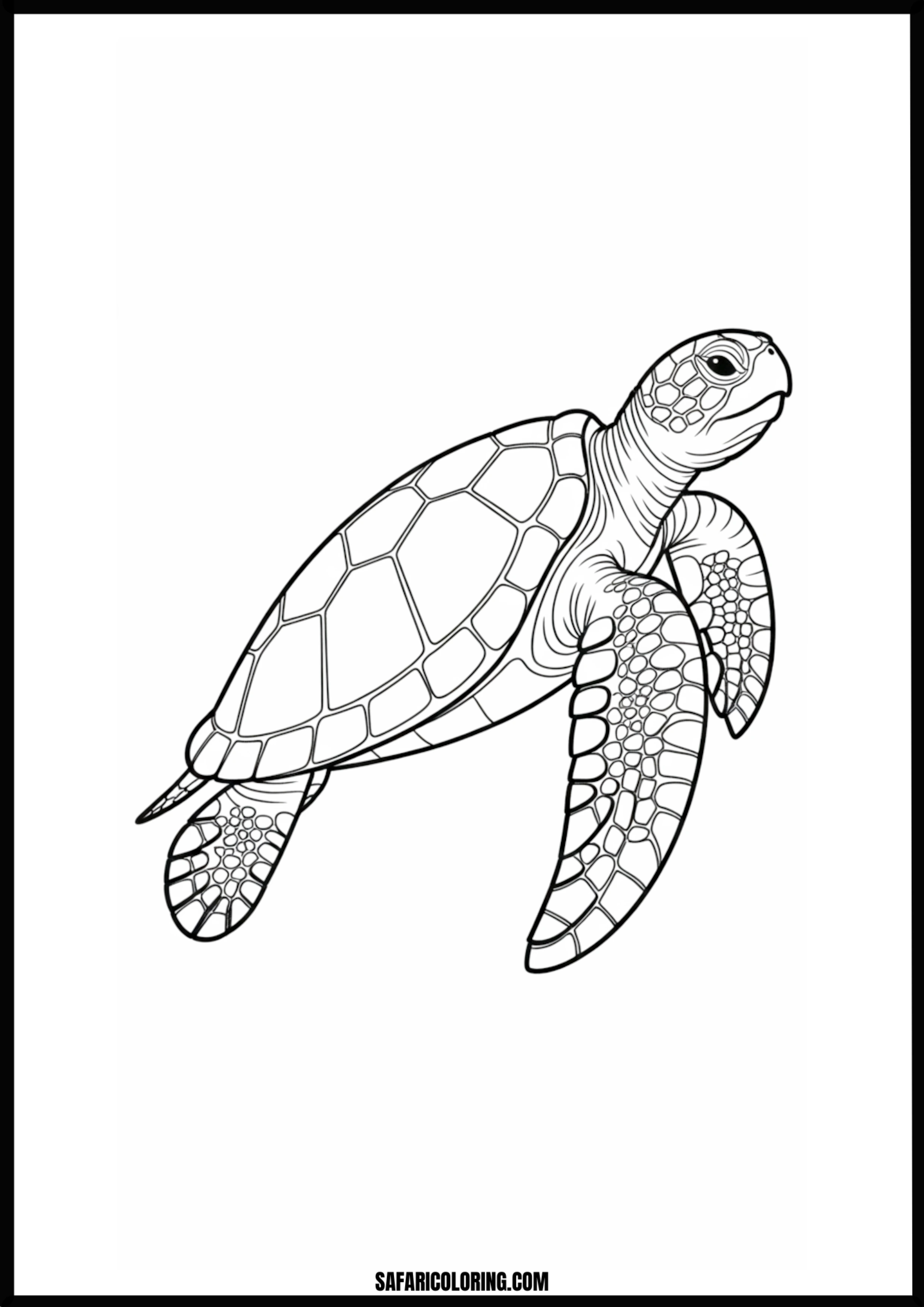 Graceful Swimming Turtle Detailed drawing of a sea turtle swimming