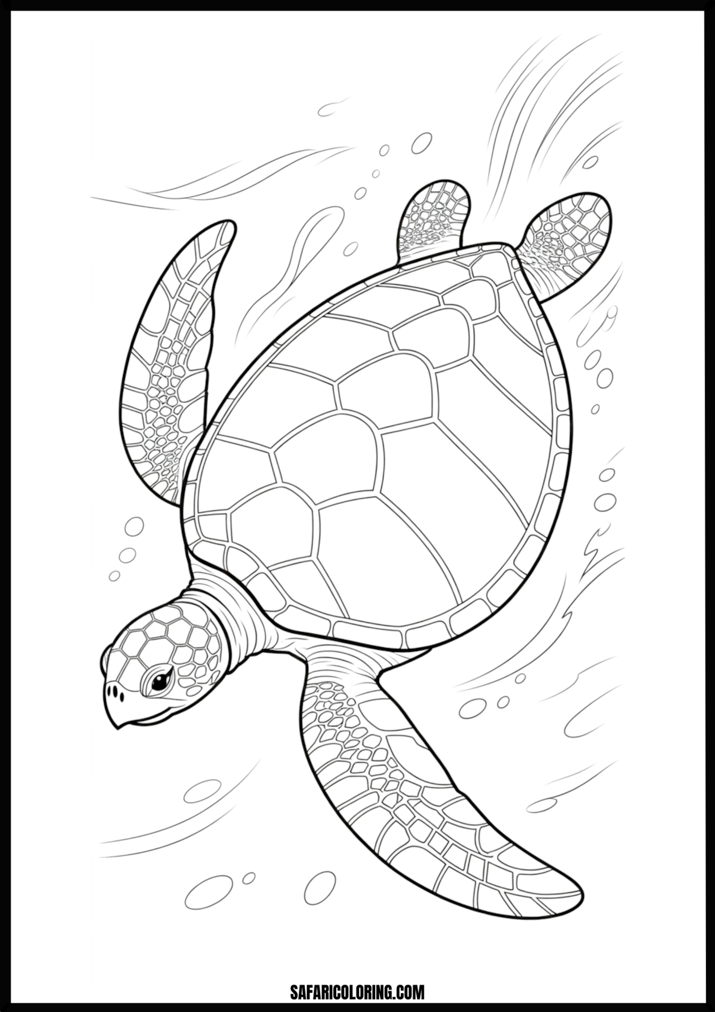 Basic Swimming Turtle Outline of a sea turtle swimming