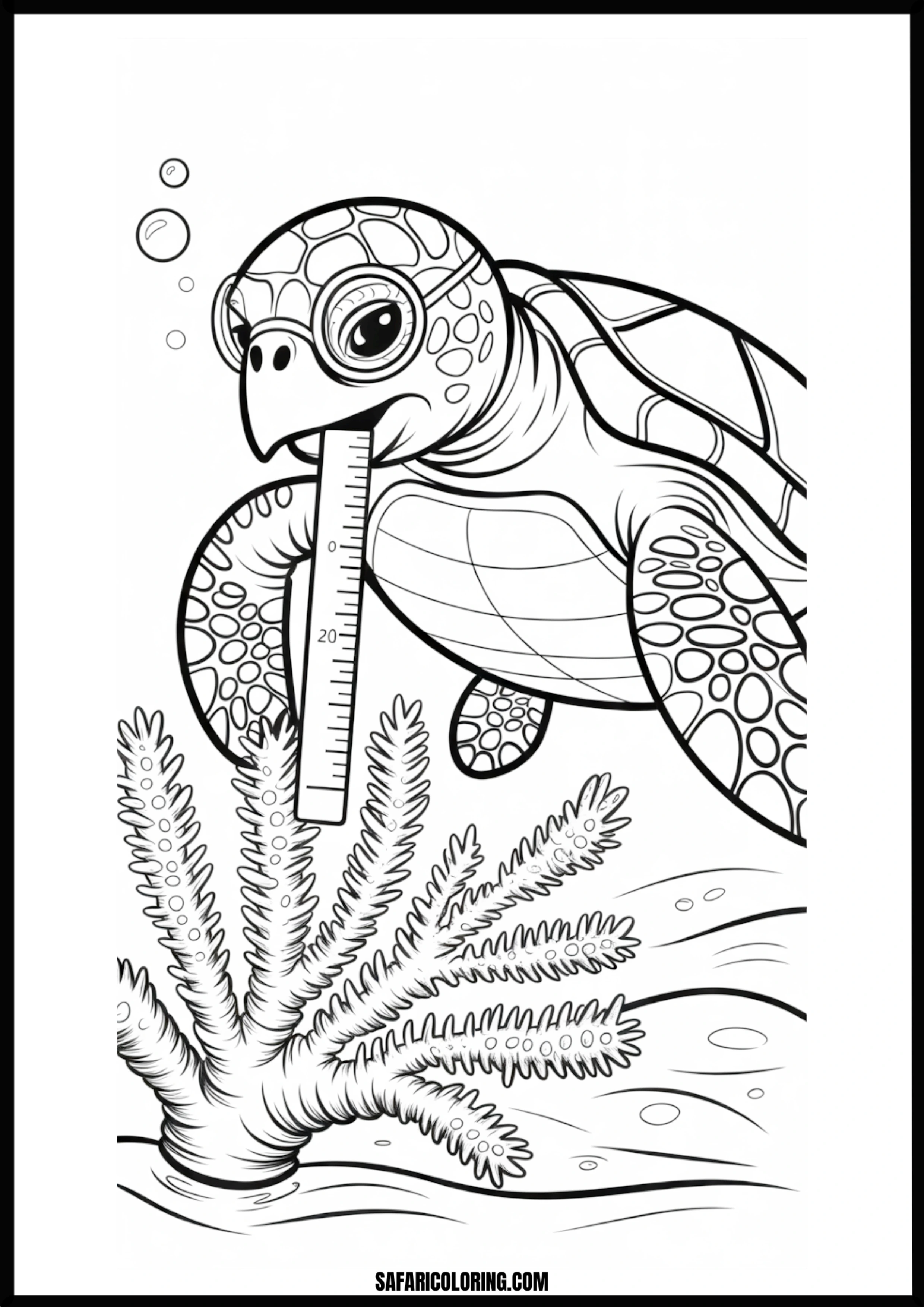 Marine Biologist Turtle Sea turtle scientist measuring coral with a ruler