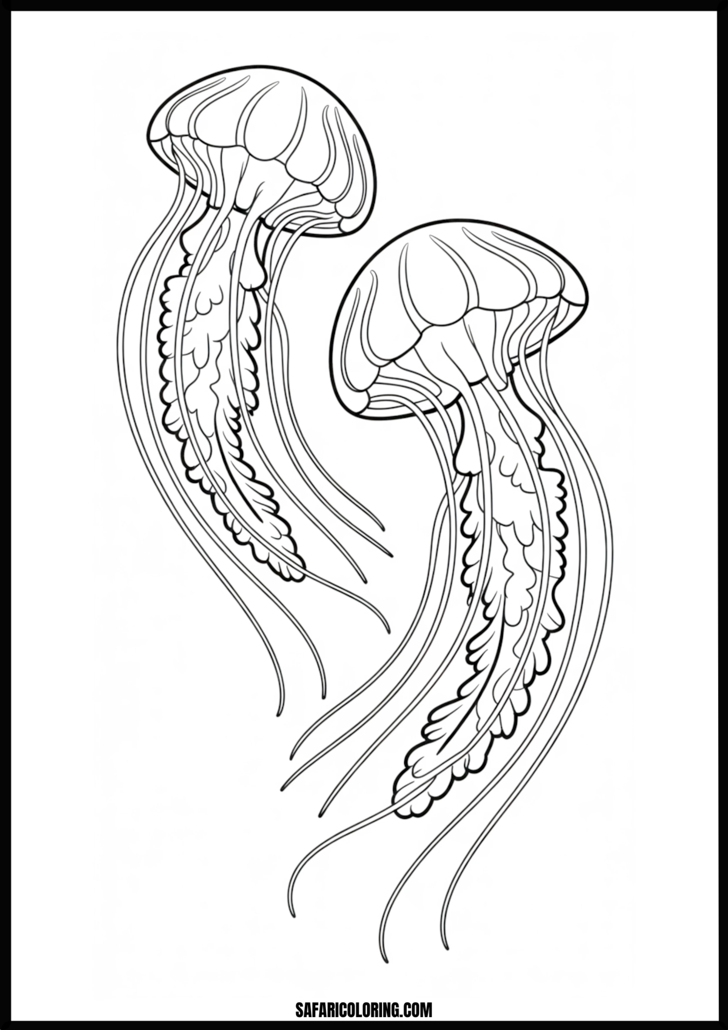 Two Jellyfish Line Art Coloring Page Simple and elegant line art of two jellyfish.