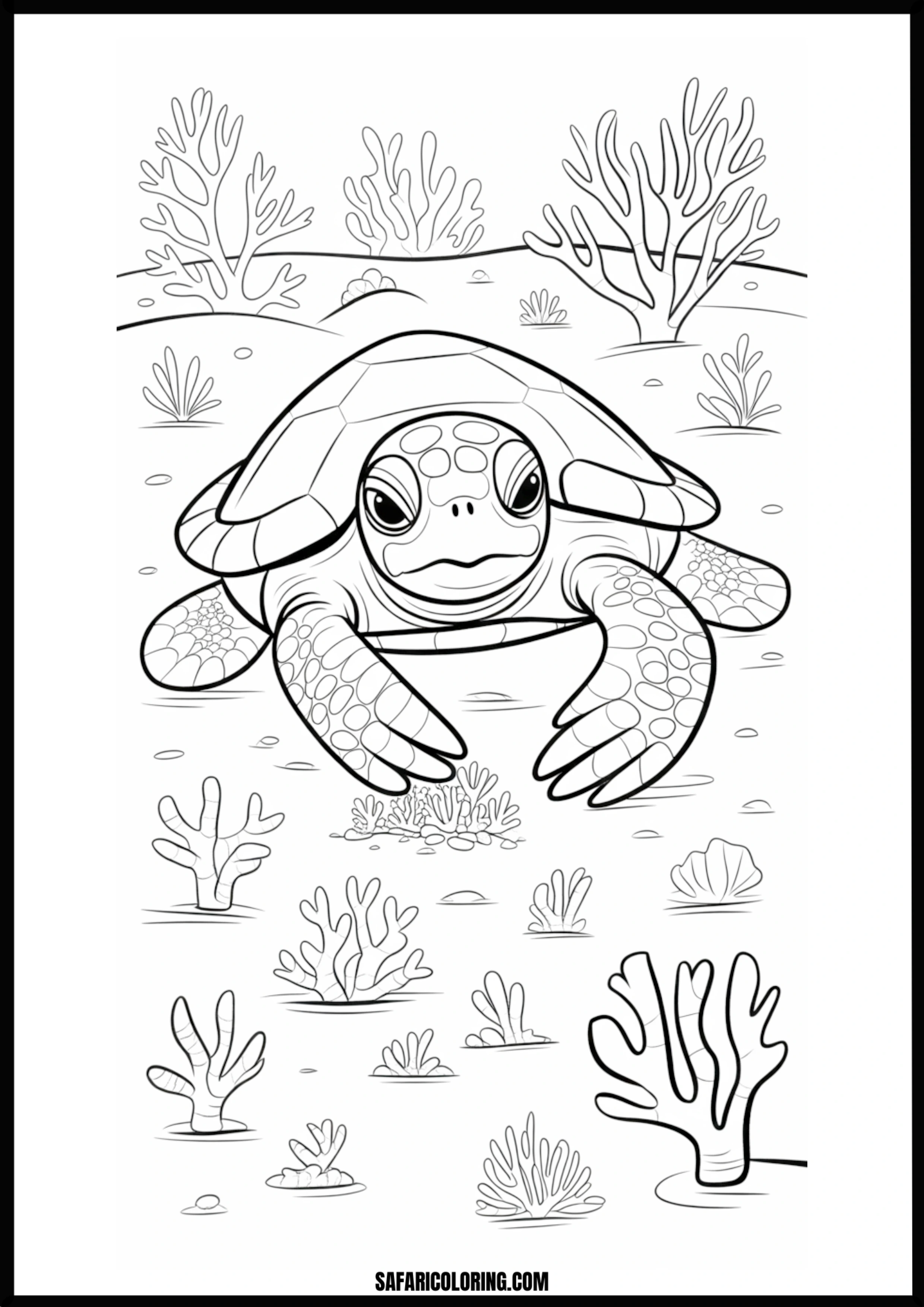 Graceful Swimming Turtle Sea turtle swimming gracefully in the ocean