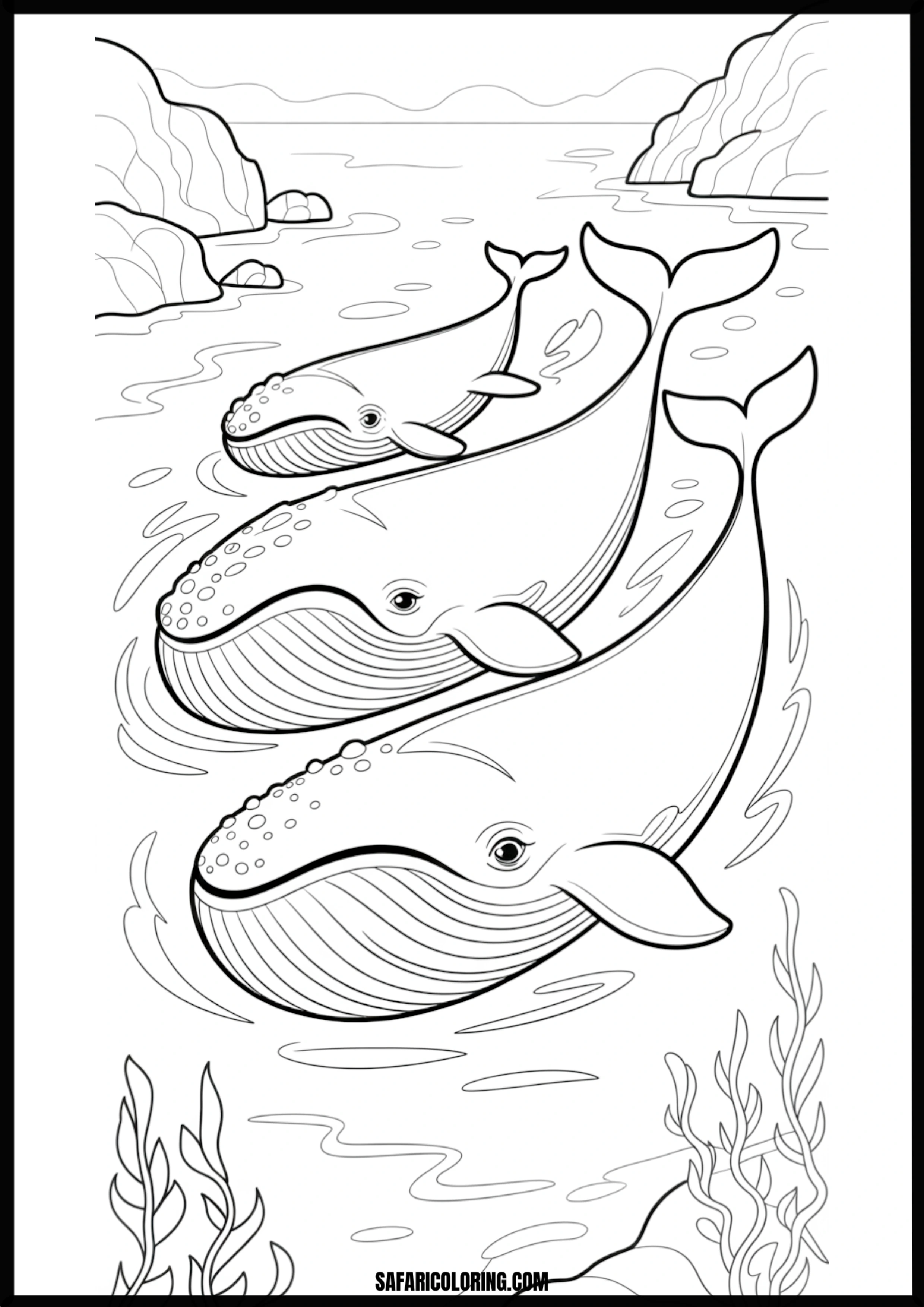 Whale Family Swimming Ocean Coloring Page Coloring page of a whale family swimming together.