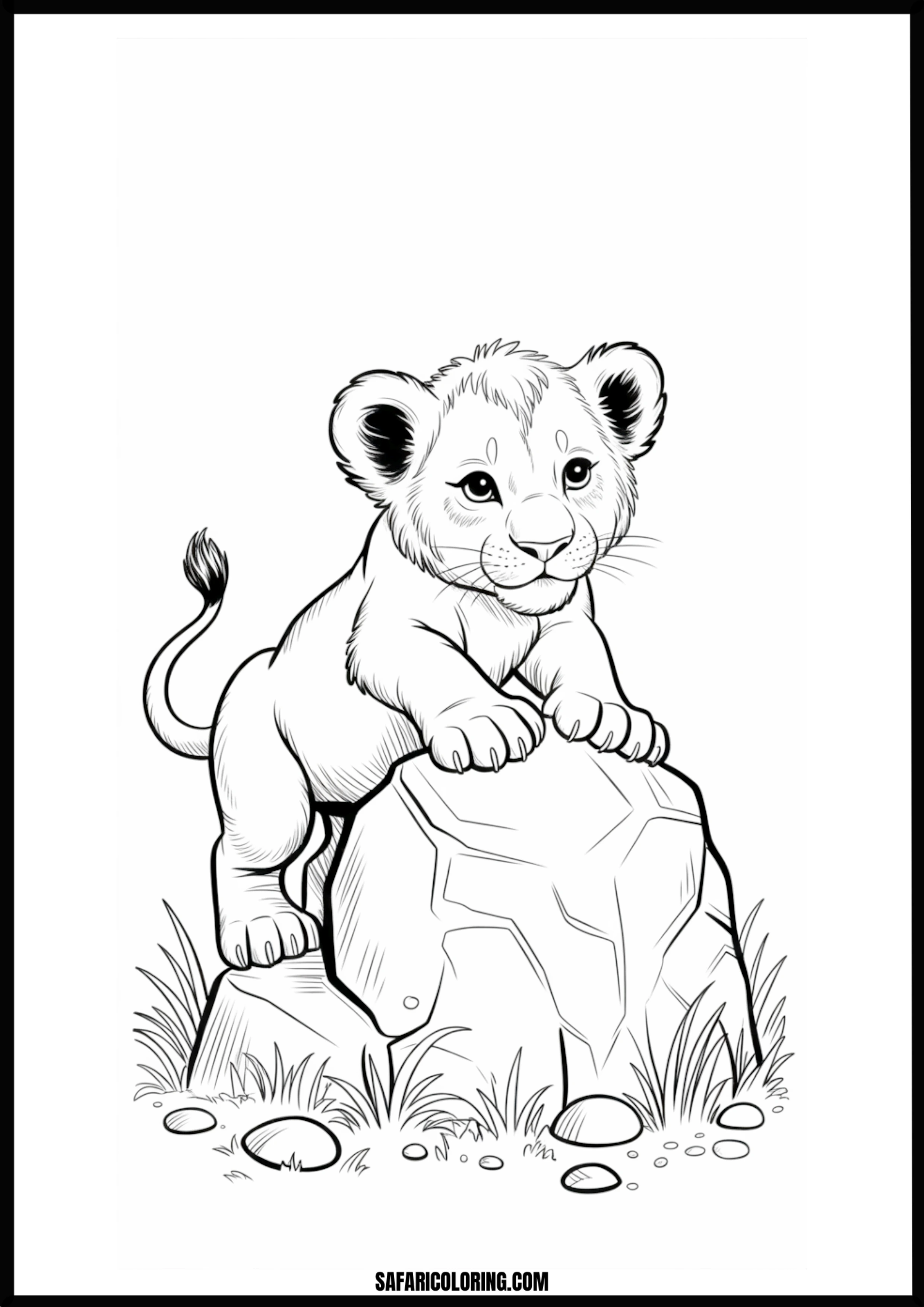 Lion cub sitting on a rock coloring page.