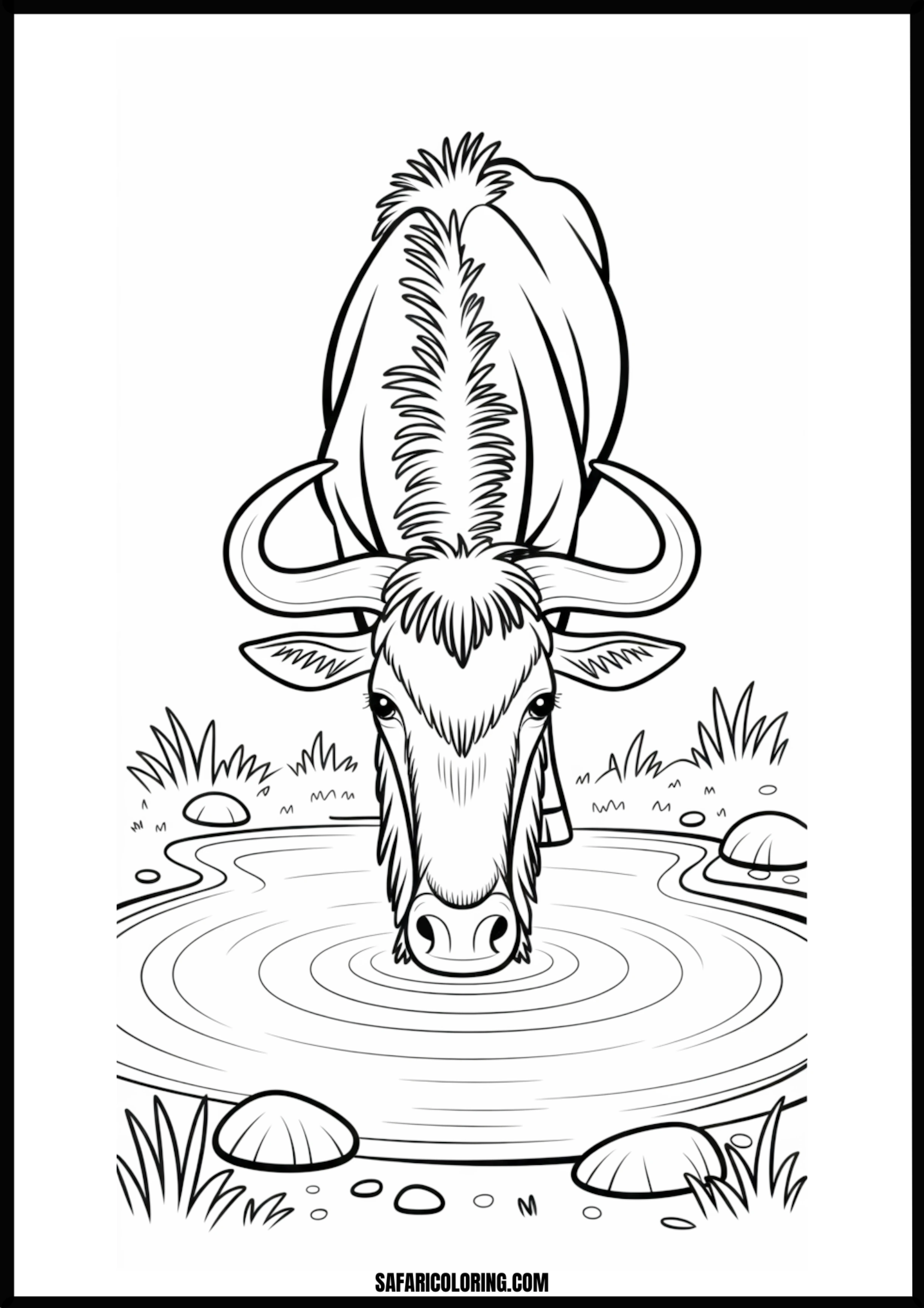A wildebeest gently drinking water from a pond. Free printable wildebeest drinking from pond coloring page outline.
