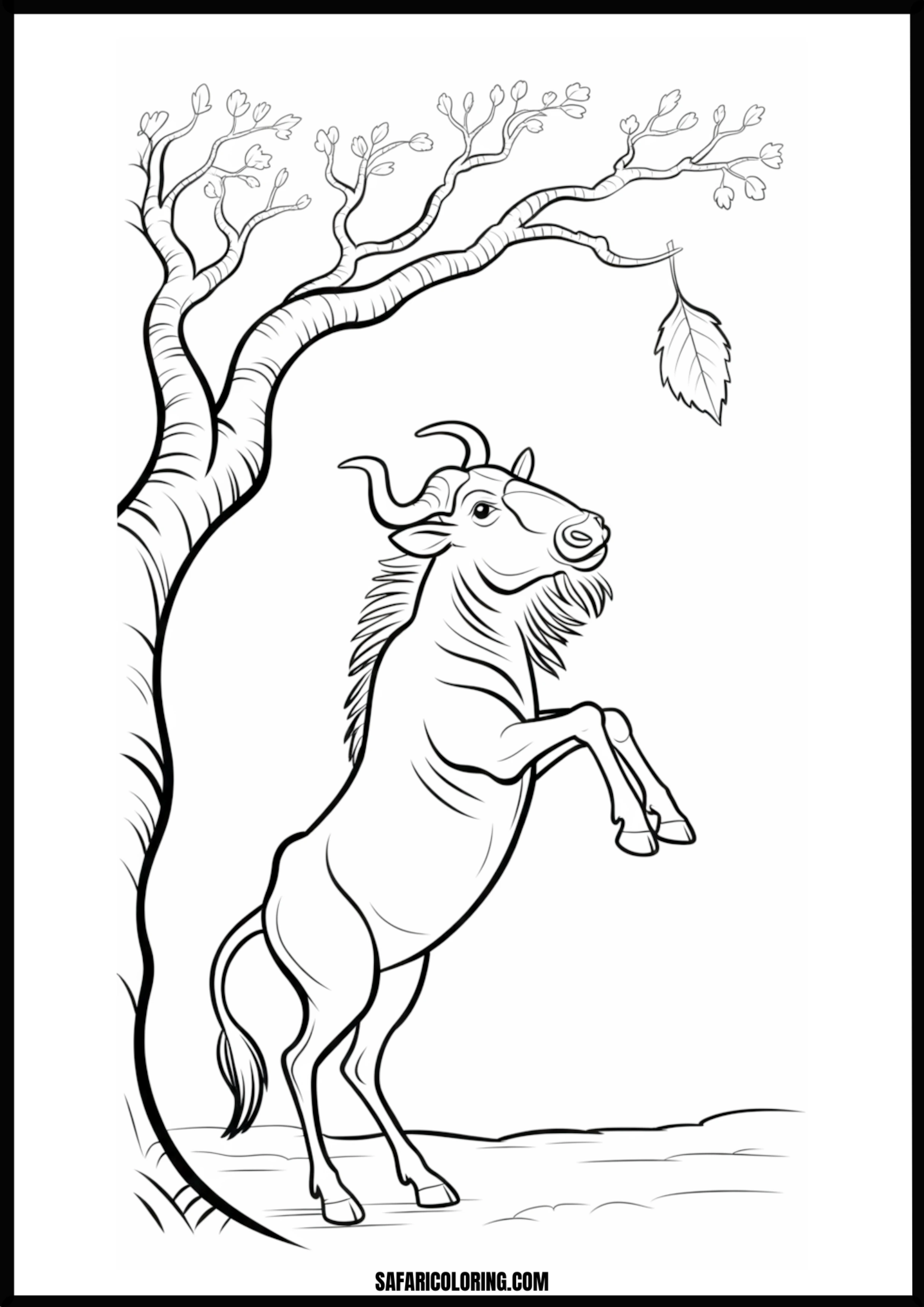A wildebeest stretching to reach a tasty leaf. Free printable wildebeest reaching for a leaf coloring page outline.