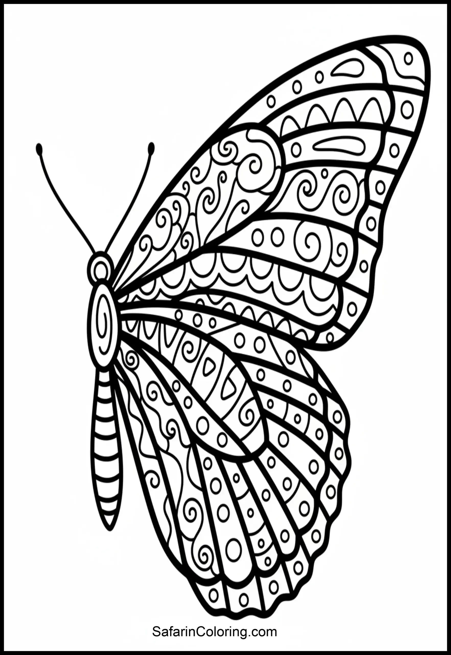 Abstract Butterfly Wings Zoom Scaled