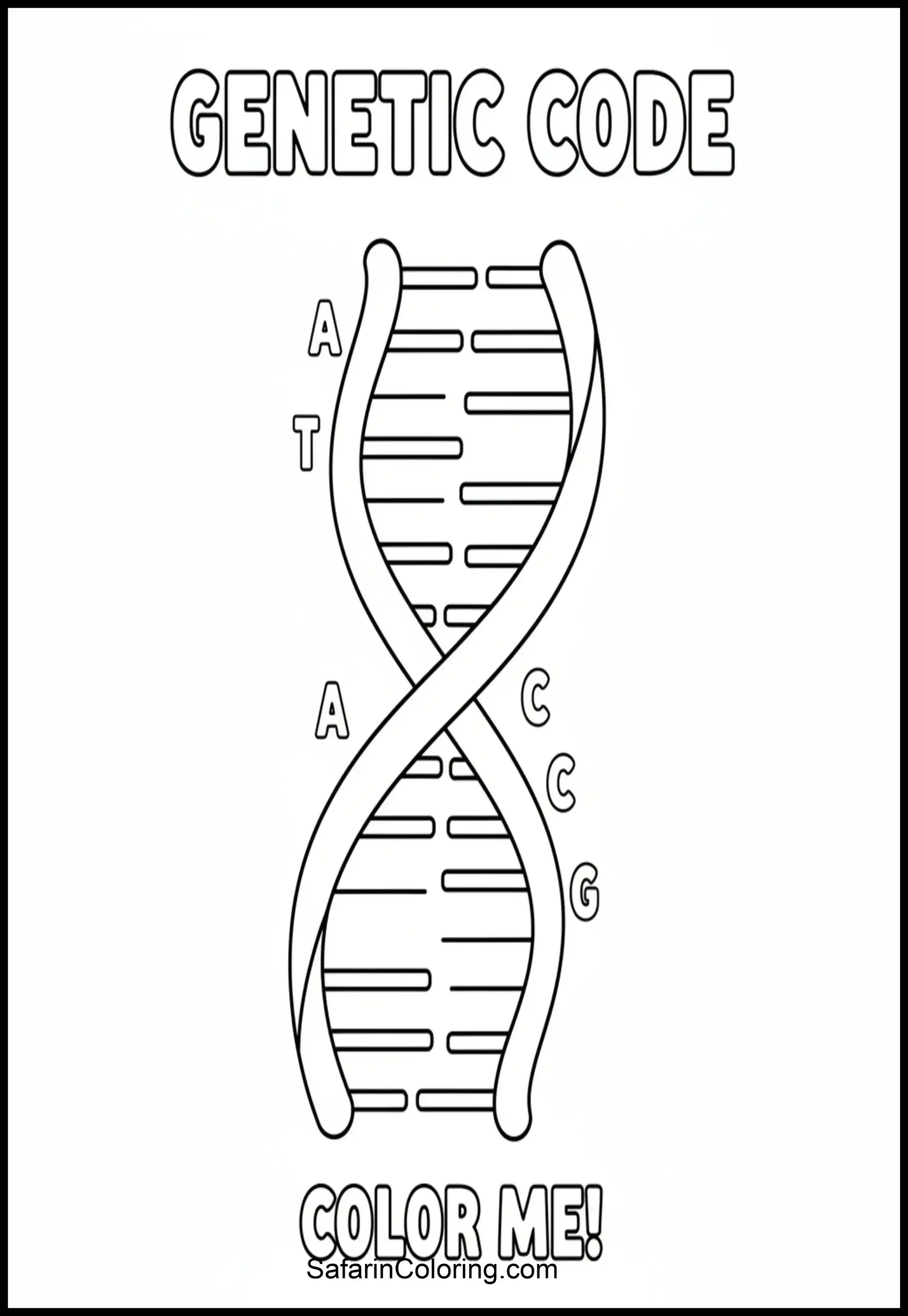 Anatomy Coloring Pages Dna Helix Scaled