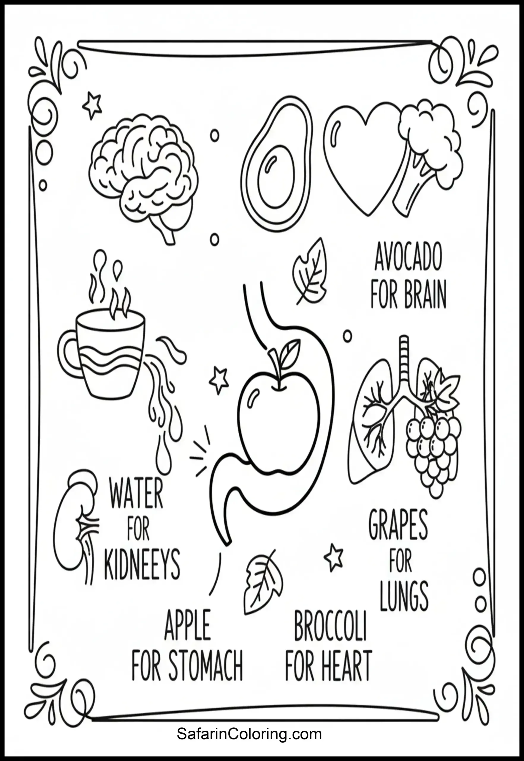 Anatomy Coloring Pages Healthy Organs Scaled