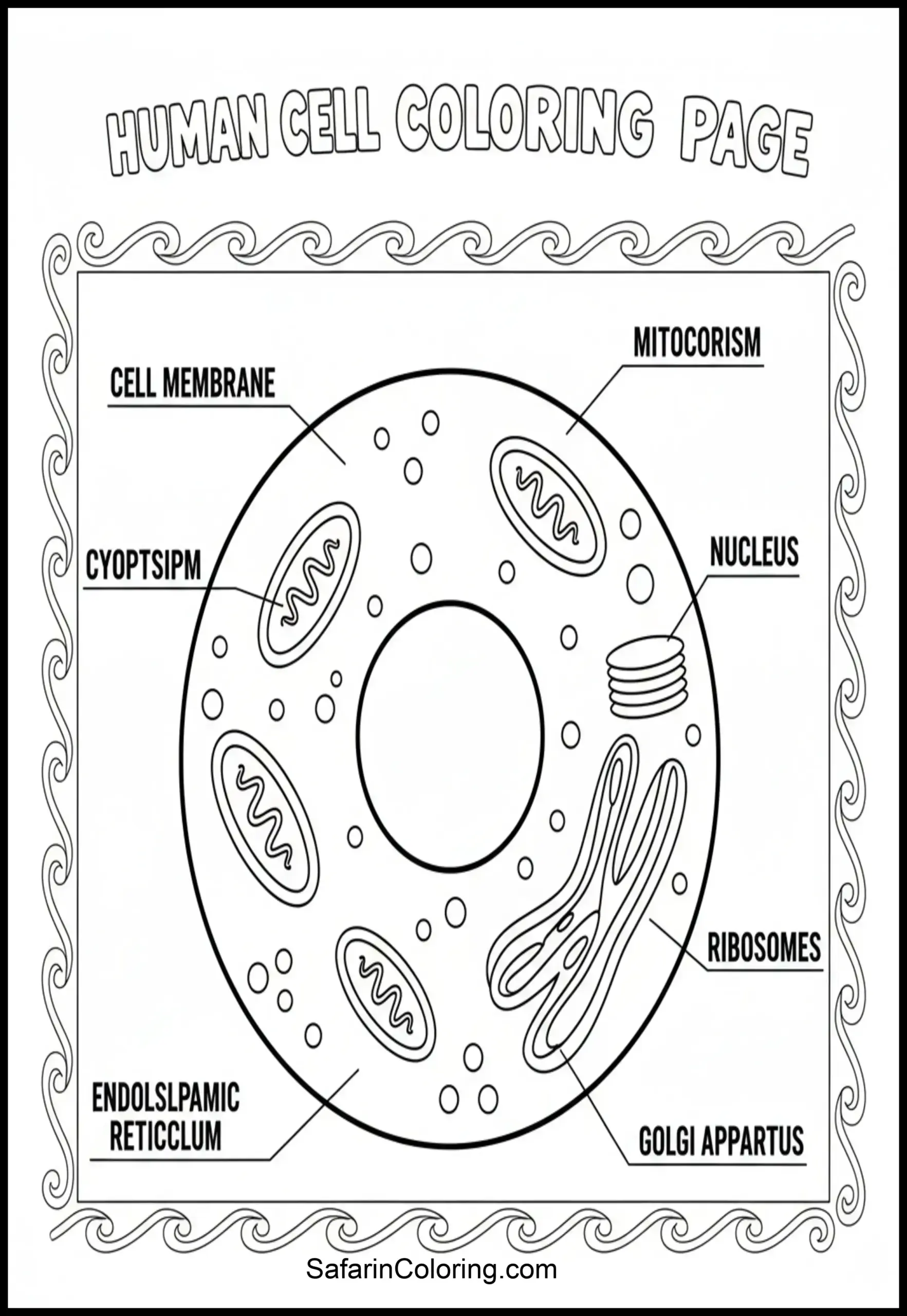 Anatomy Coloring Pages Human Cell Scaled