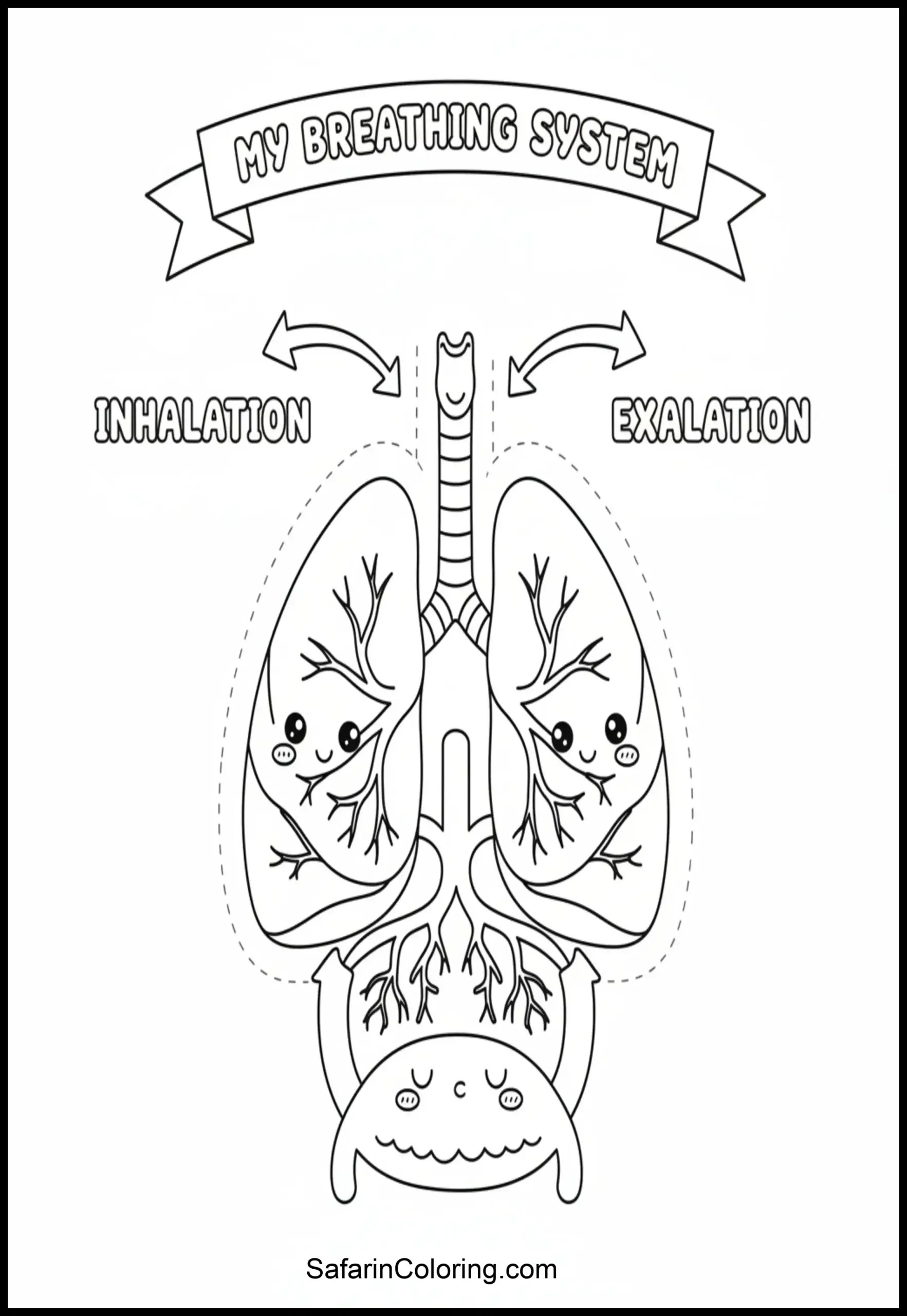 Anatomy Coloring Pages Lungs Breathing Scaled