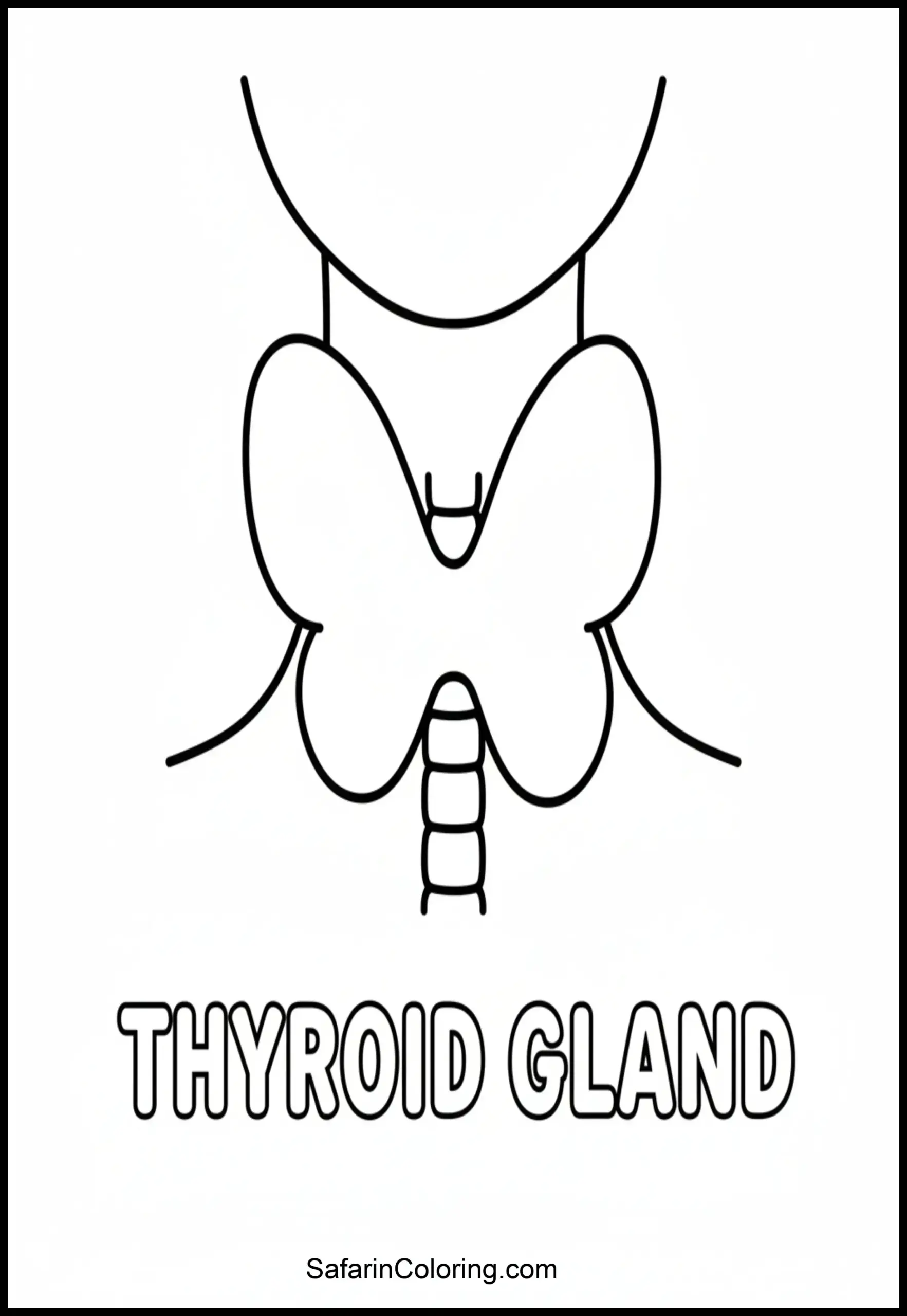 Anatomy Coloring Pages Thyroid Scaled