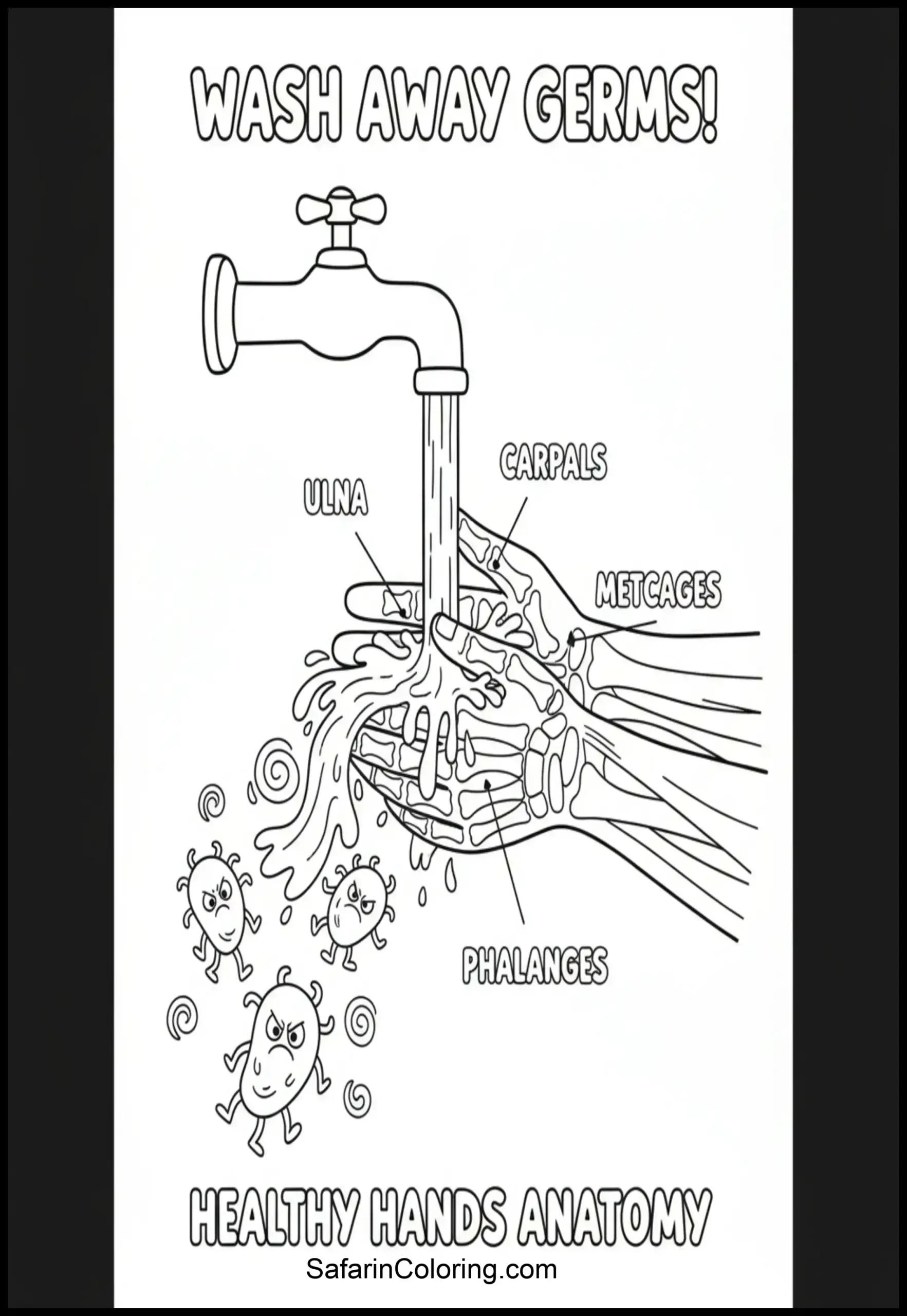 Anatomy Coloring Pages Washing Hands Scaled