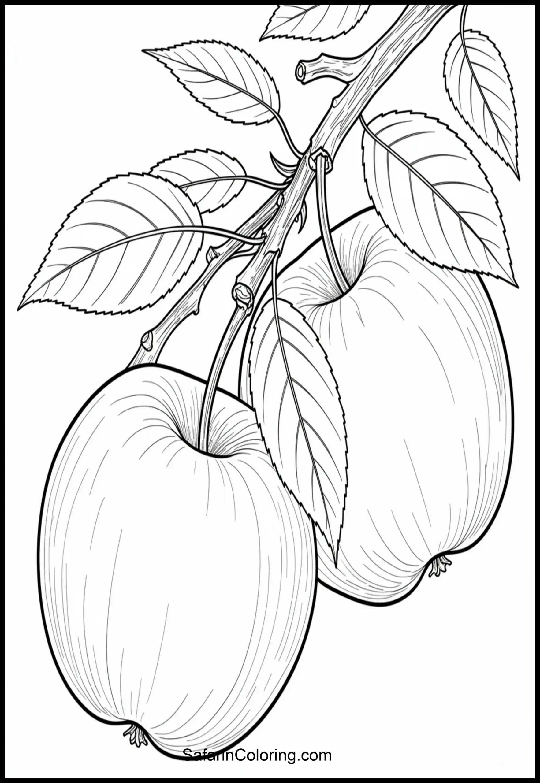 Apple Branch Hanging Scaled