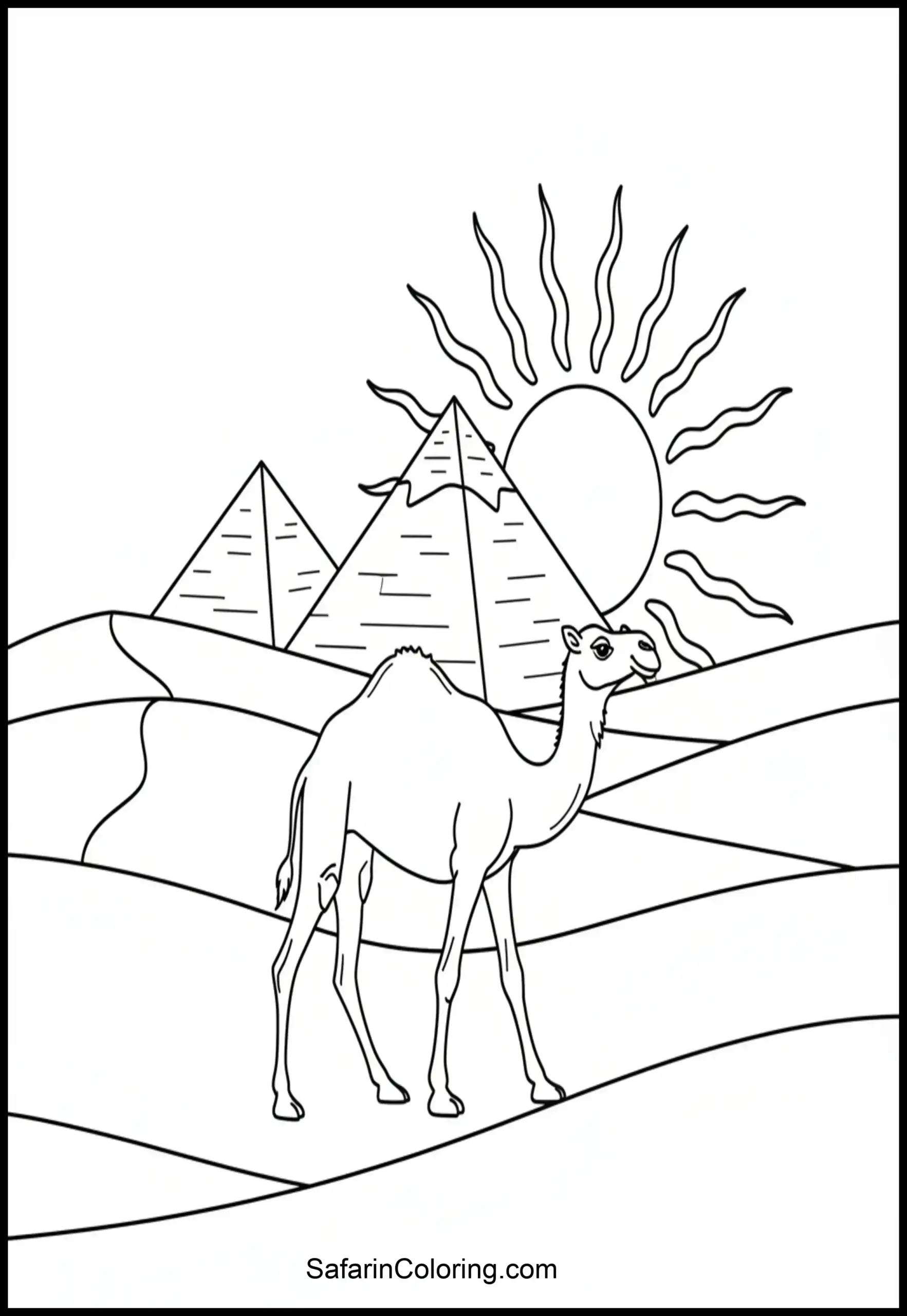 Camel Desert Pyramids Scaled