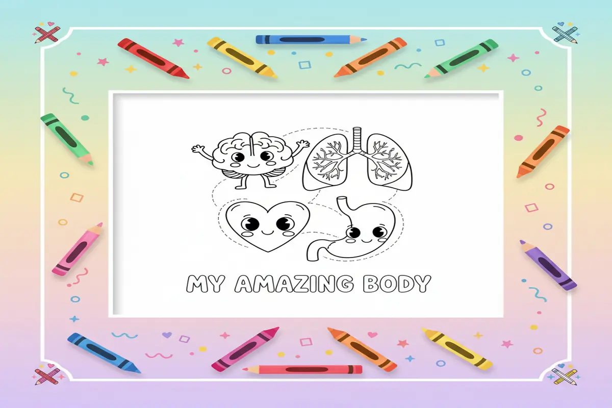 anatomy coloring pages for kids - Free Printable Coloring Page
