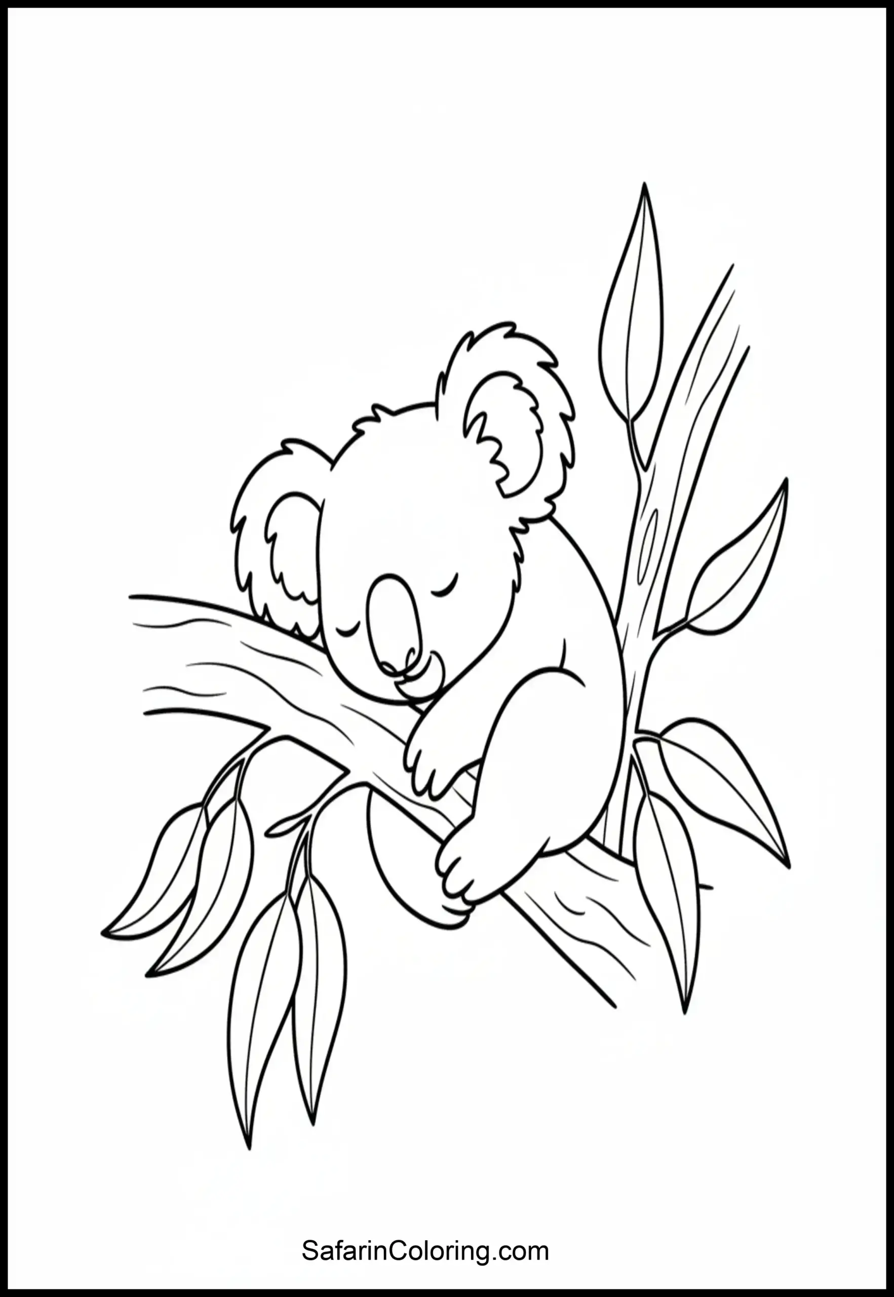 Koala Sleeping Branch Scaled