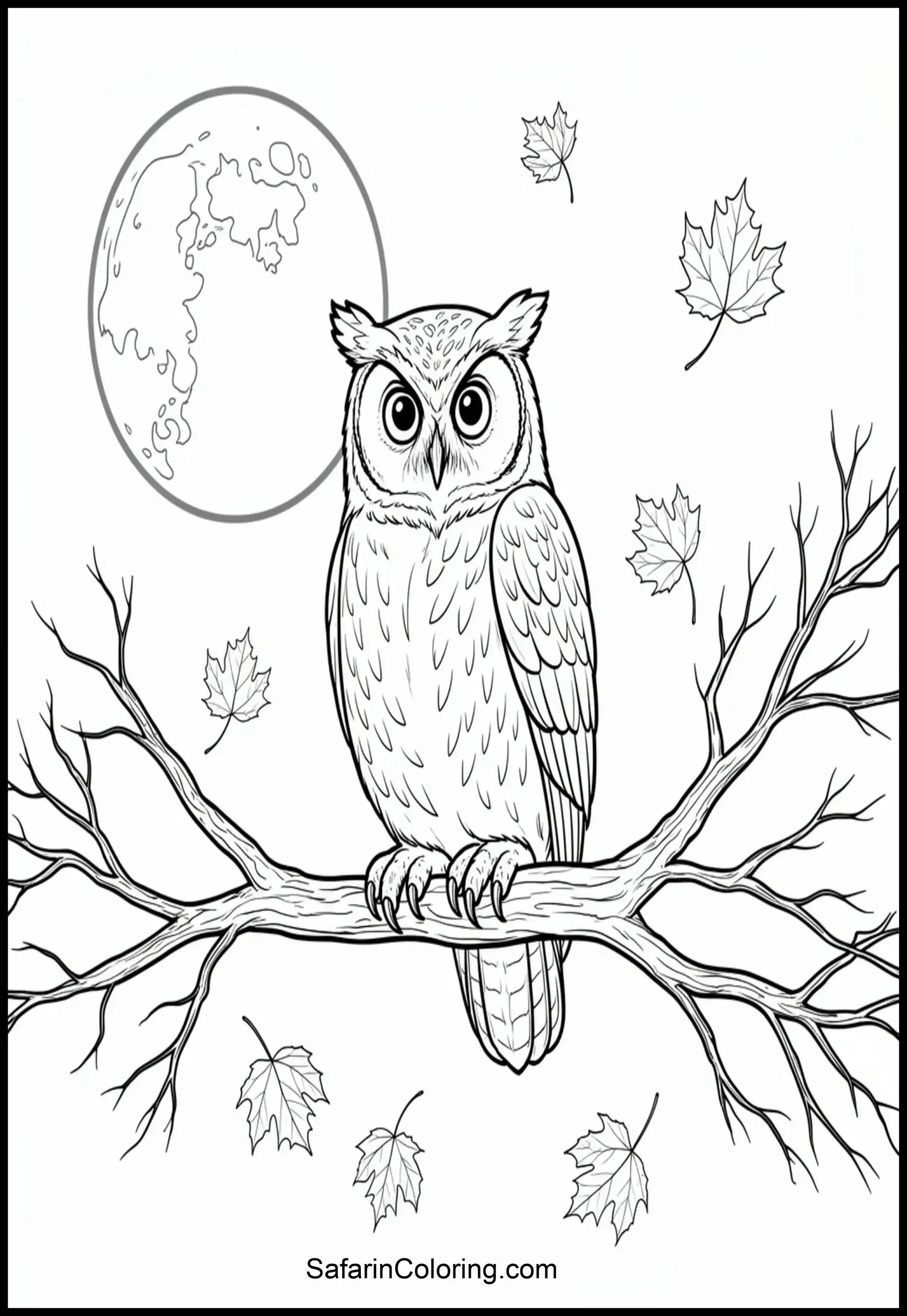Owl Bare Branch 2 Scaled