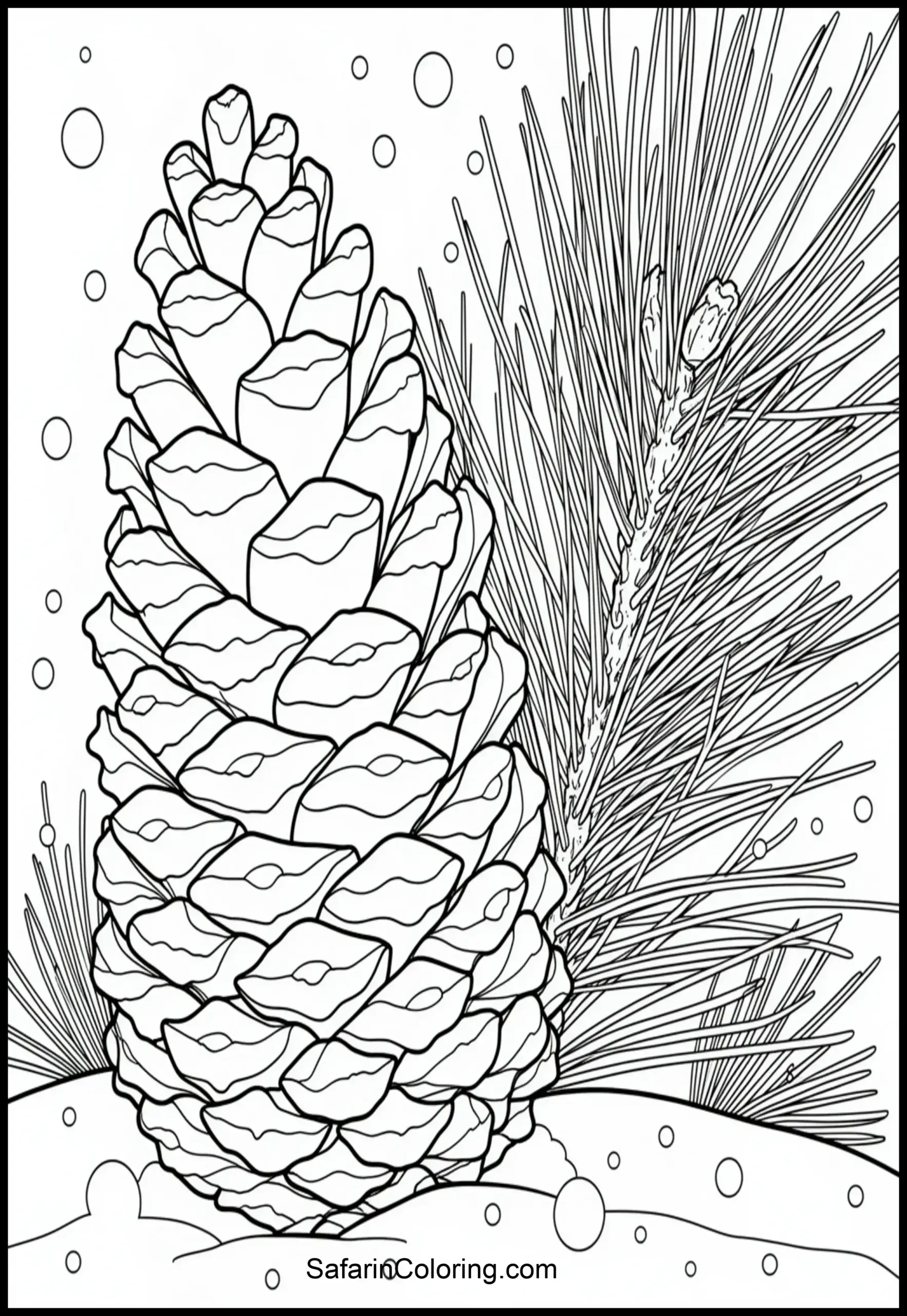 Pinecone Close Up 2 Scaled