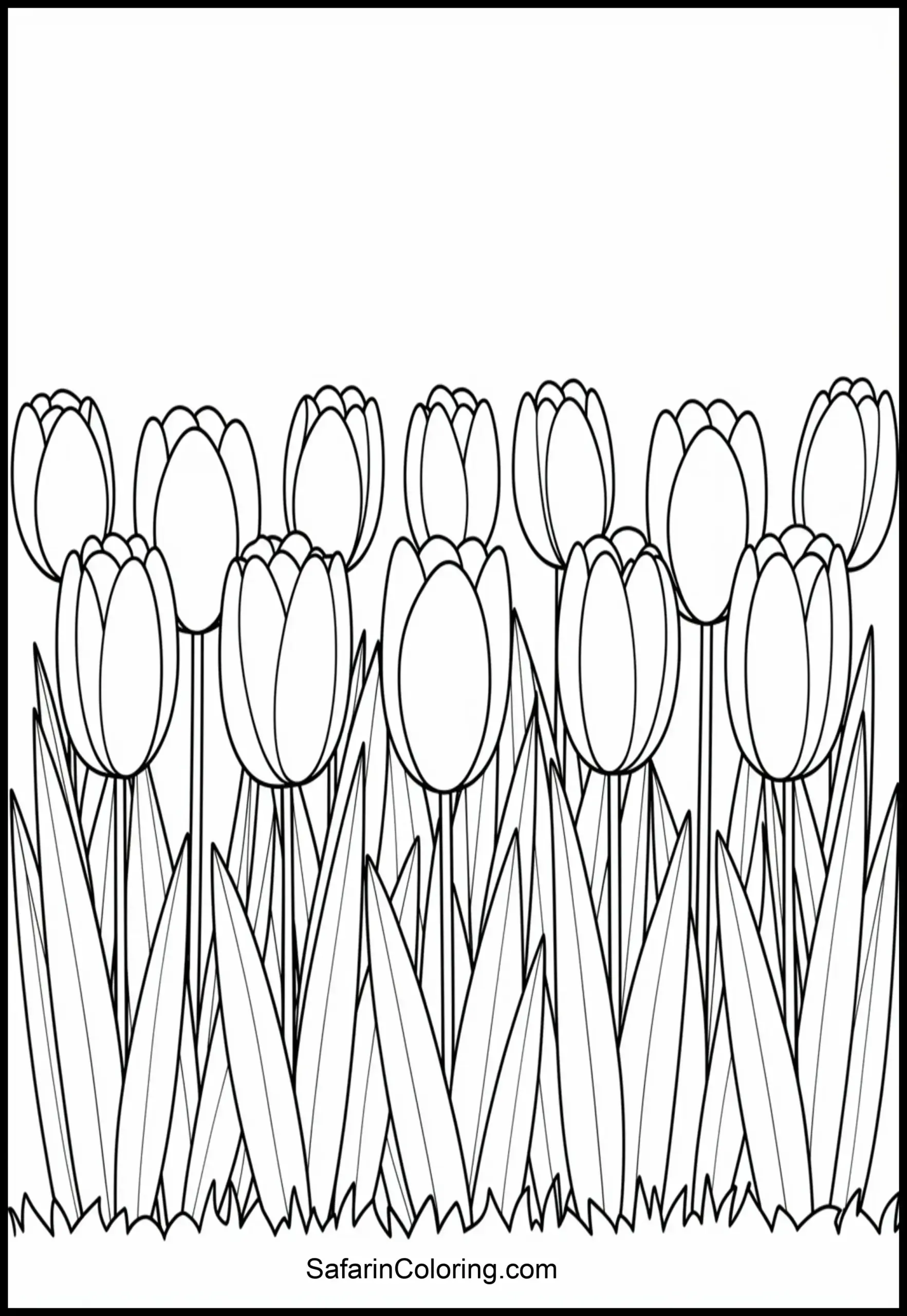 Tulip Garden Spring Scaled