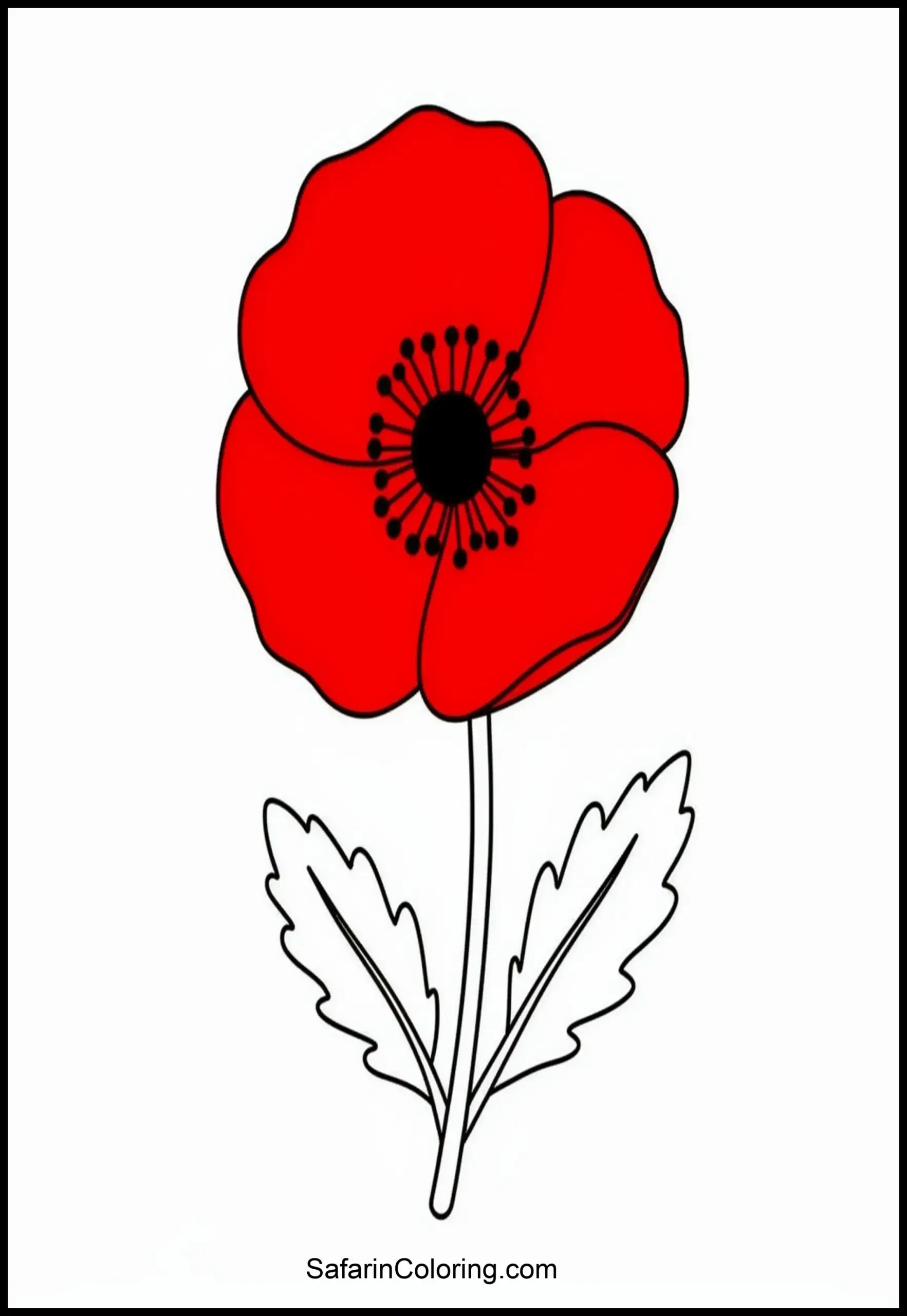 Veterans Poppy Flower 1 Scaled